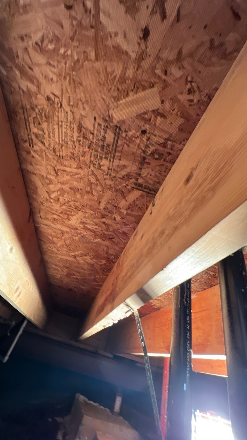 Mold Damage by Accountable Home Services