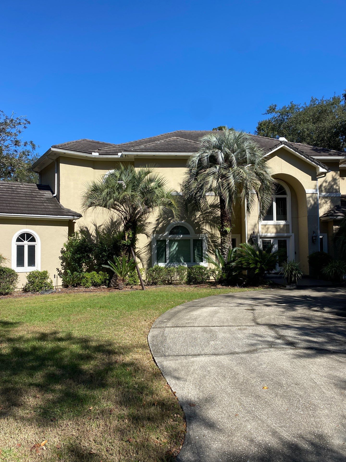 Deerwood Residence | Tree Work by ProGreen Services