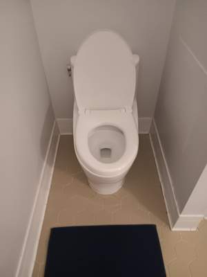 Out with the Old, In with the New: Toilet Replacement