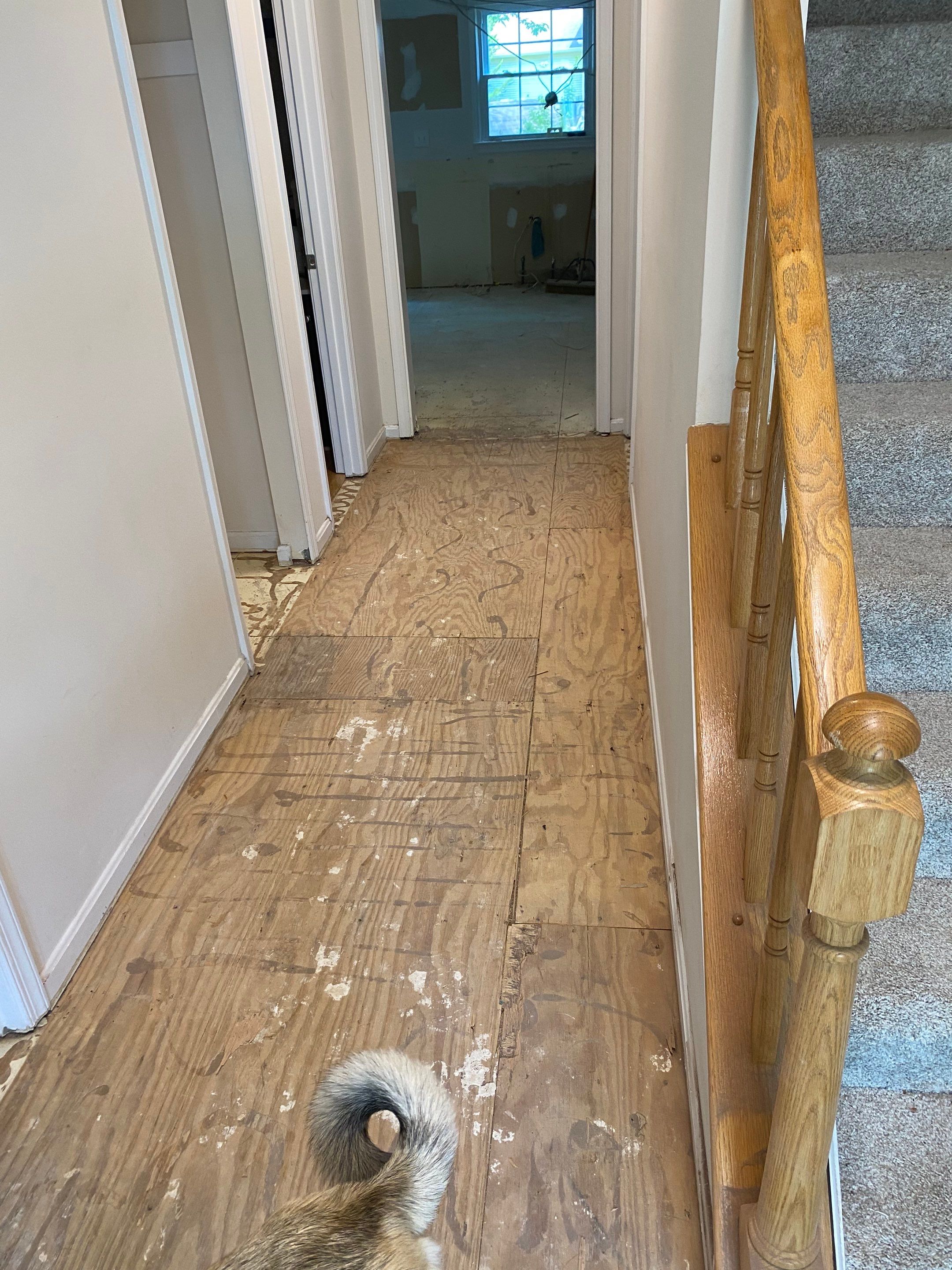 Full Kitchen Remodel with extras by The Smet Companies, LLC