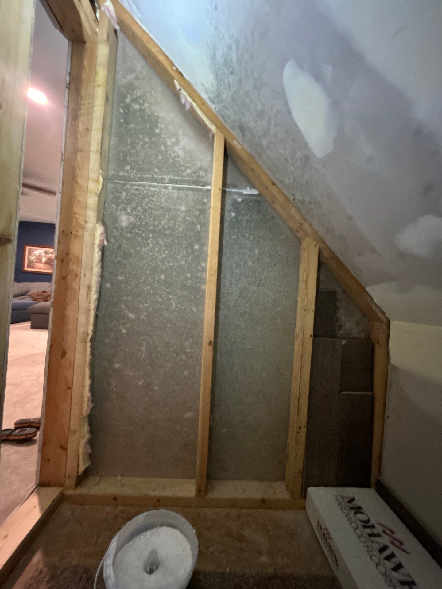 Major Mold Remediation Project by Home Disaster Medics