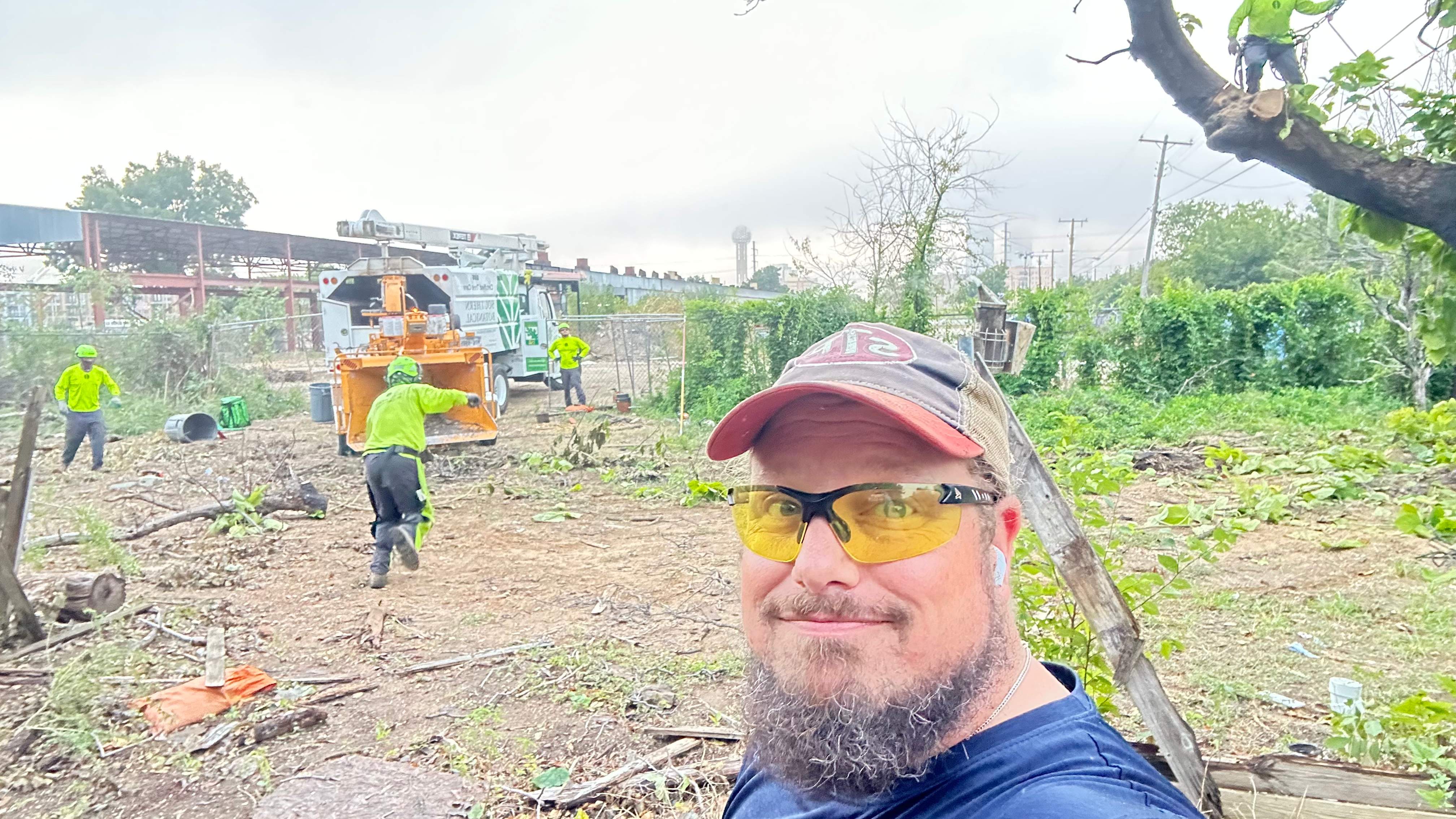 City Tree Company  by Rockwall Honey Bee Company