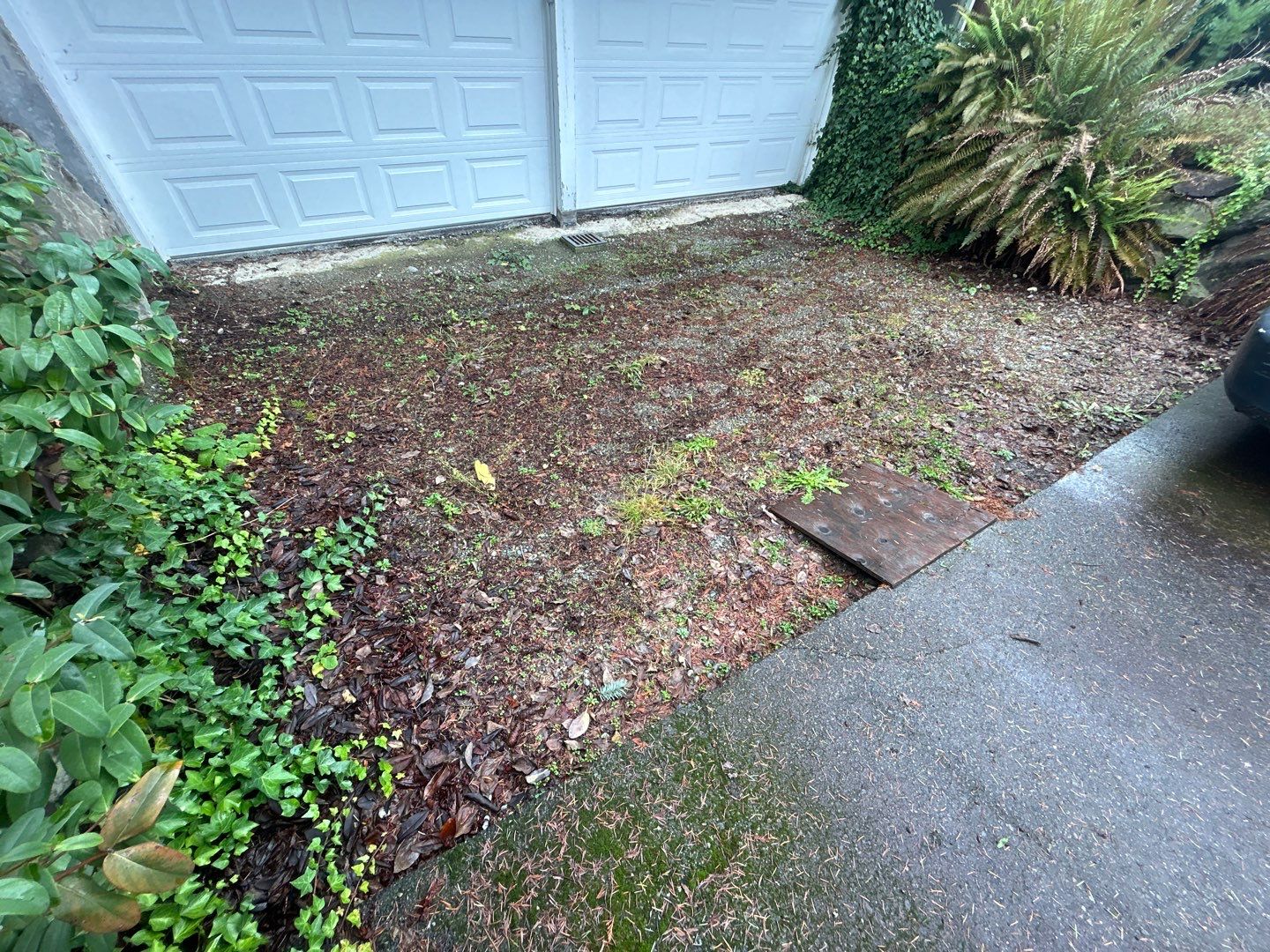 Fadi | Asphalt Driveway by Jireh Asphalt & Concrete Inc 