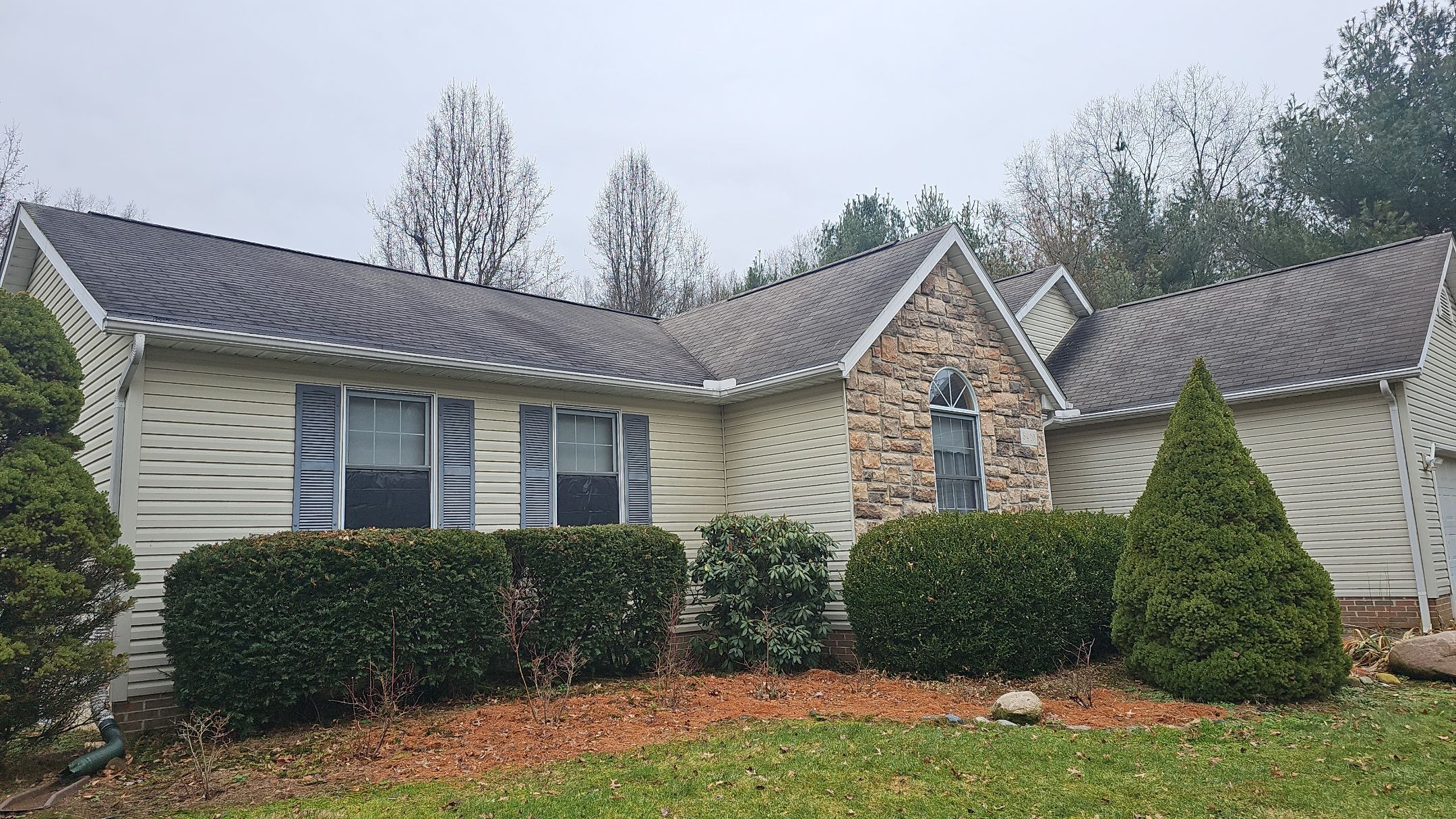 Alpha Rib, Color: Forest Green by Eagle Eye Roofing
