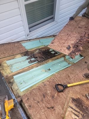 Project in Painesville, OH