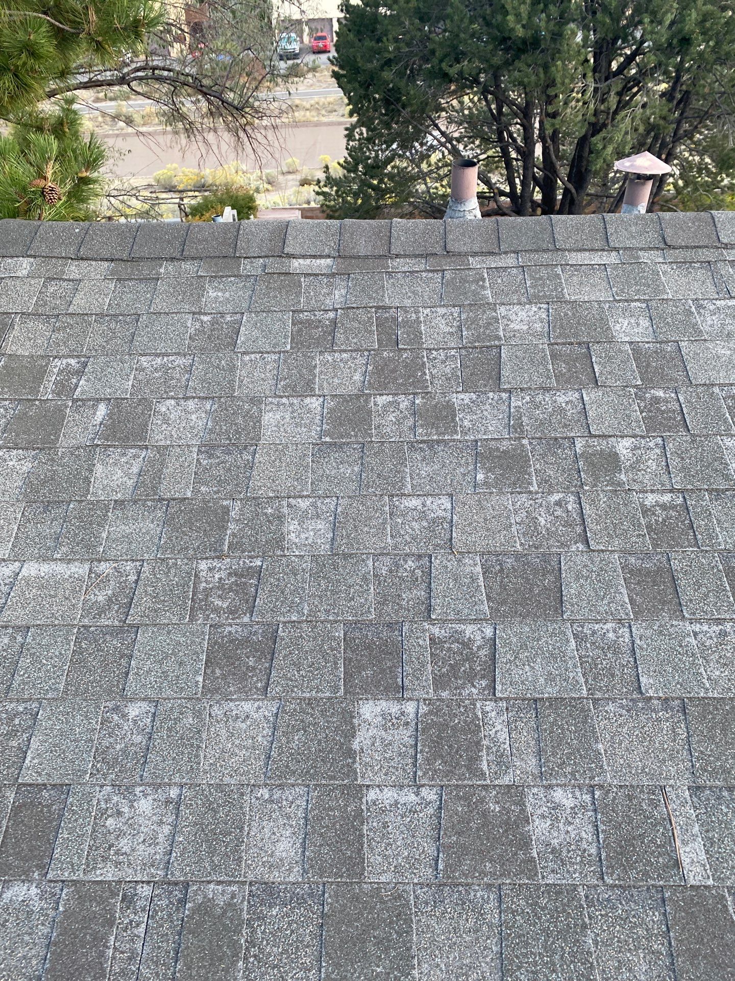 Desert Tan Shingles by Reimagine Roofing