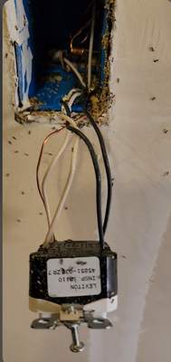 Troubleshoot 