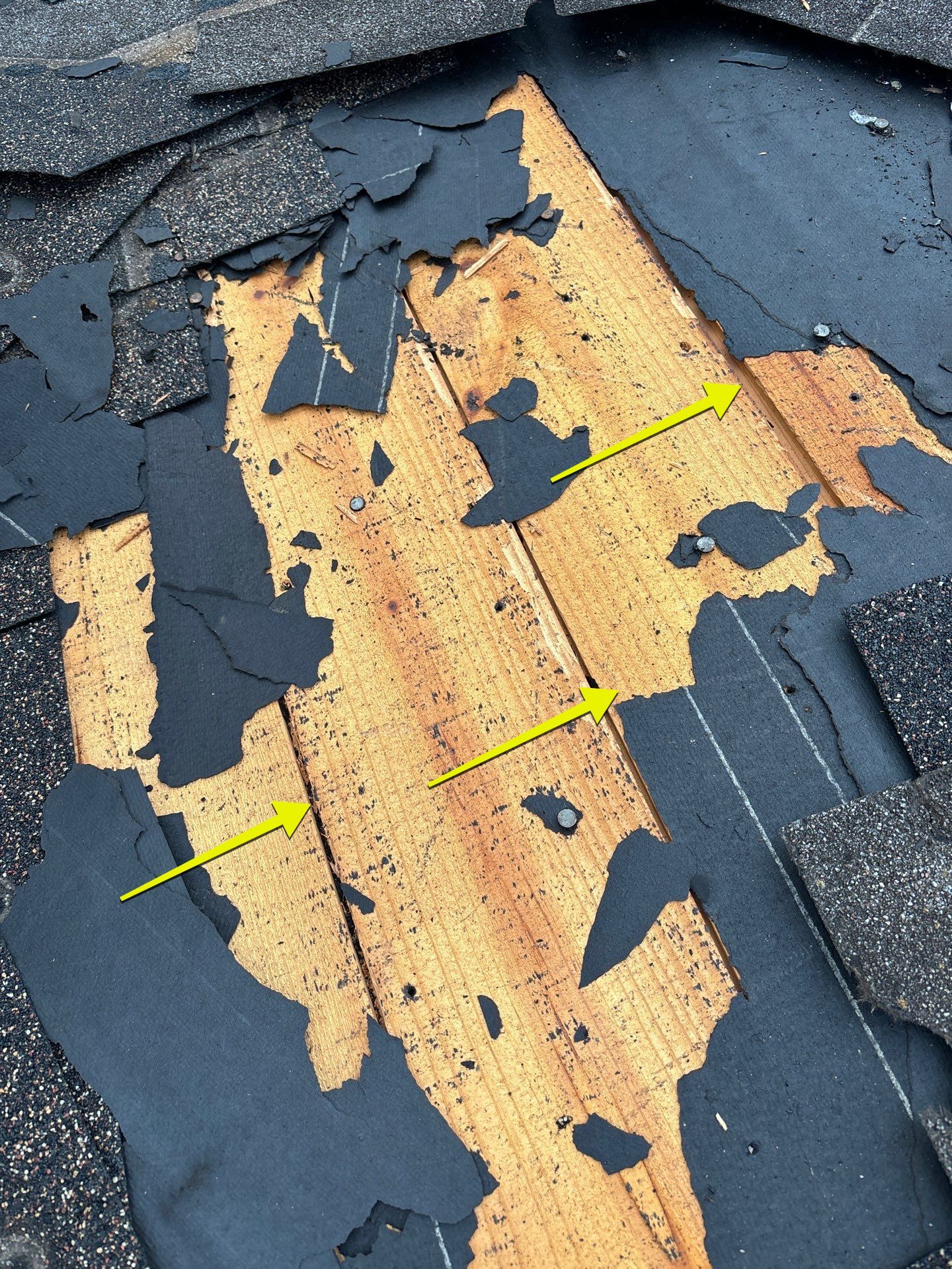 Roof Replacement Humble by Roof Repair Services LLC