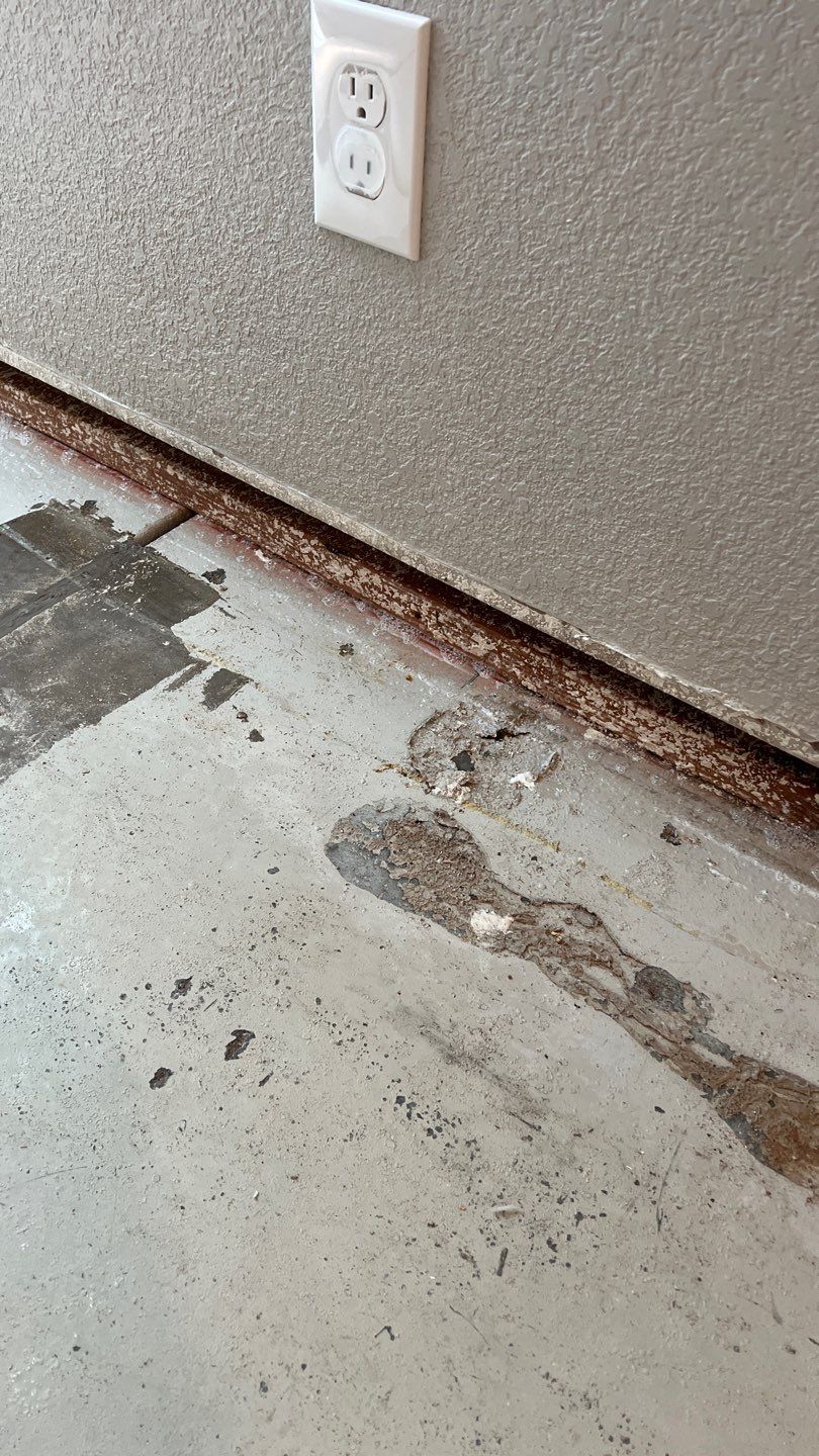Mold Remediation  by Accountable Home Services