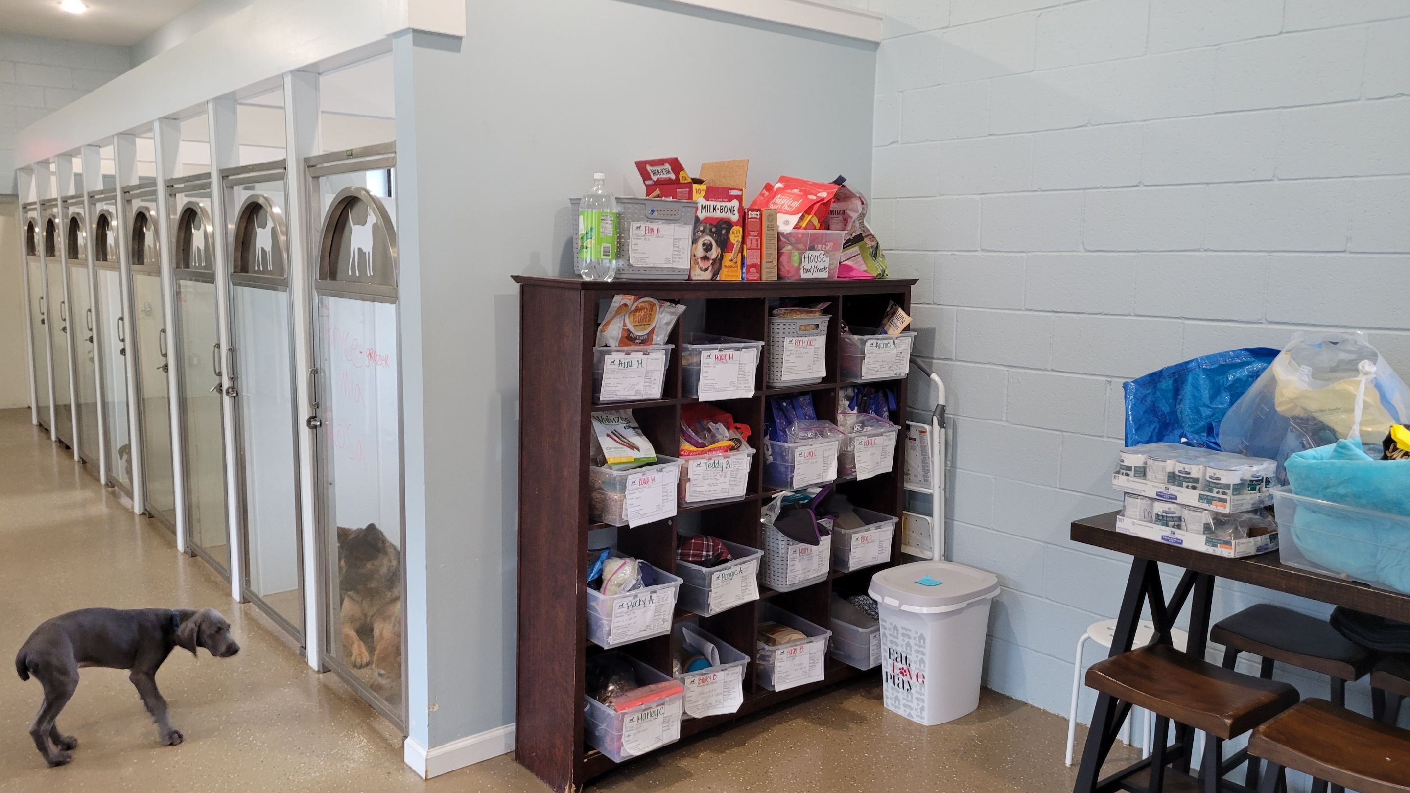 Kennel Floor Coating and Wall Painting using Penntek by Spectrum Painting, LLC