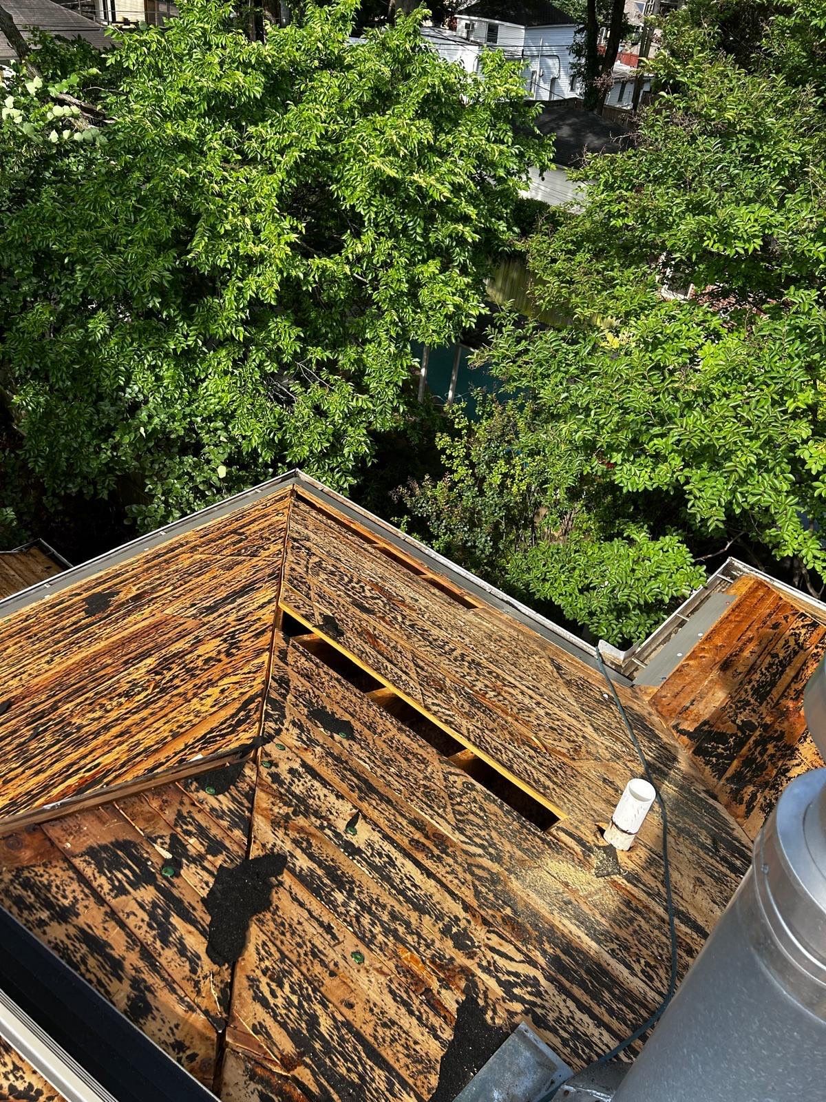 GAF Timberline HD Shingle Roof Replacement in Midtown Memphis by Revival Roofing Services