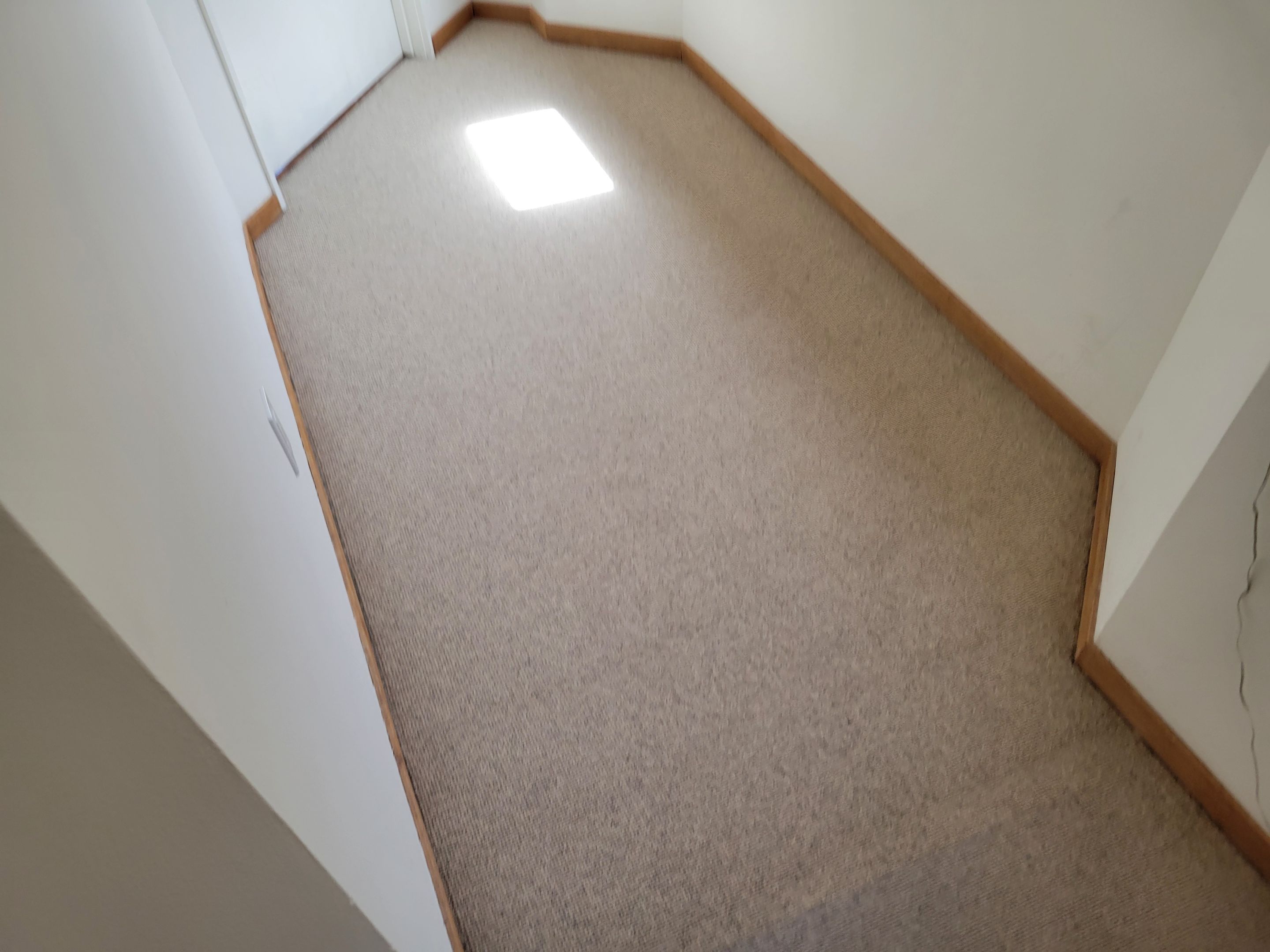Repair and Cleaning of Wool Carpeting by Ardent Carpet Restore LLC