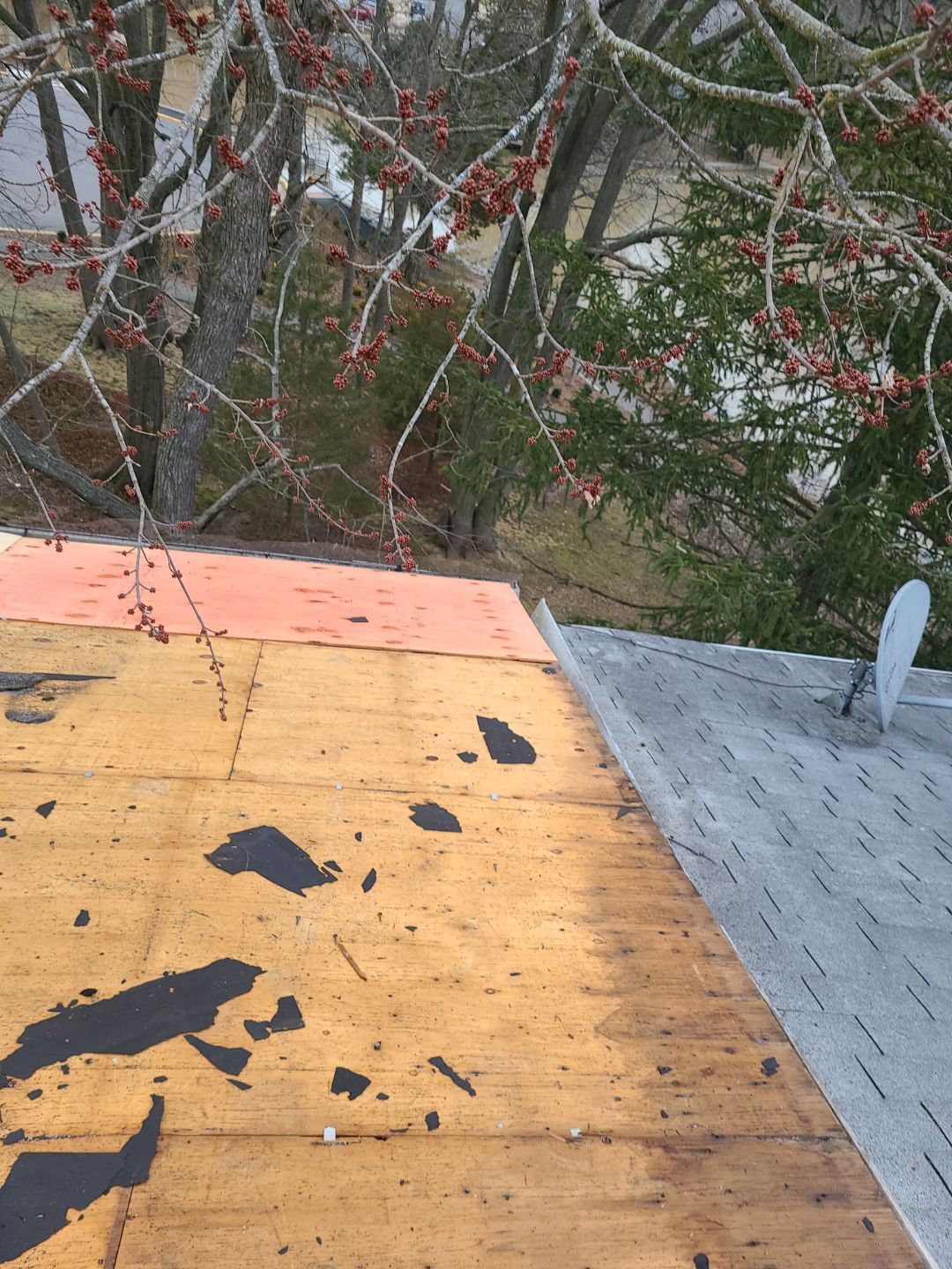 Alexandria Certainteed Landmark Roof in Colonial Slate by RM Banning, Inc.