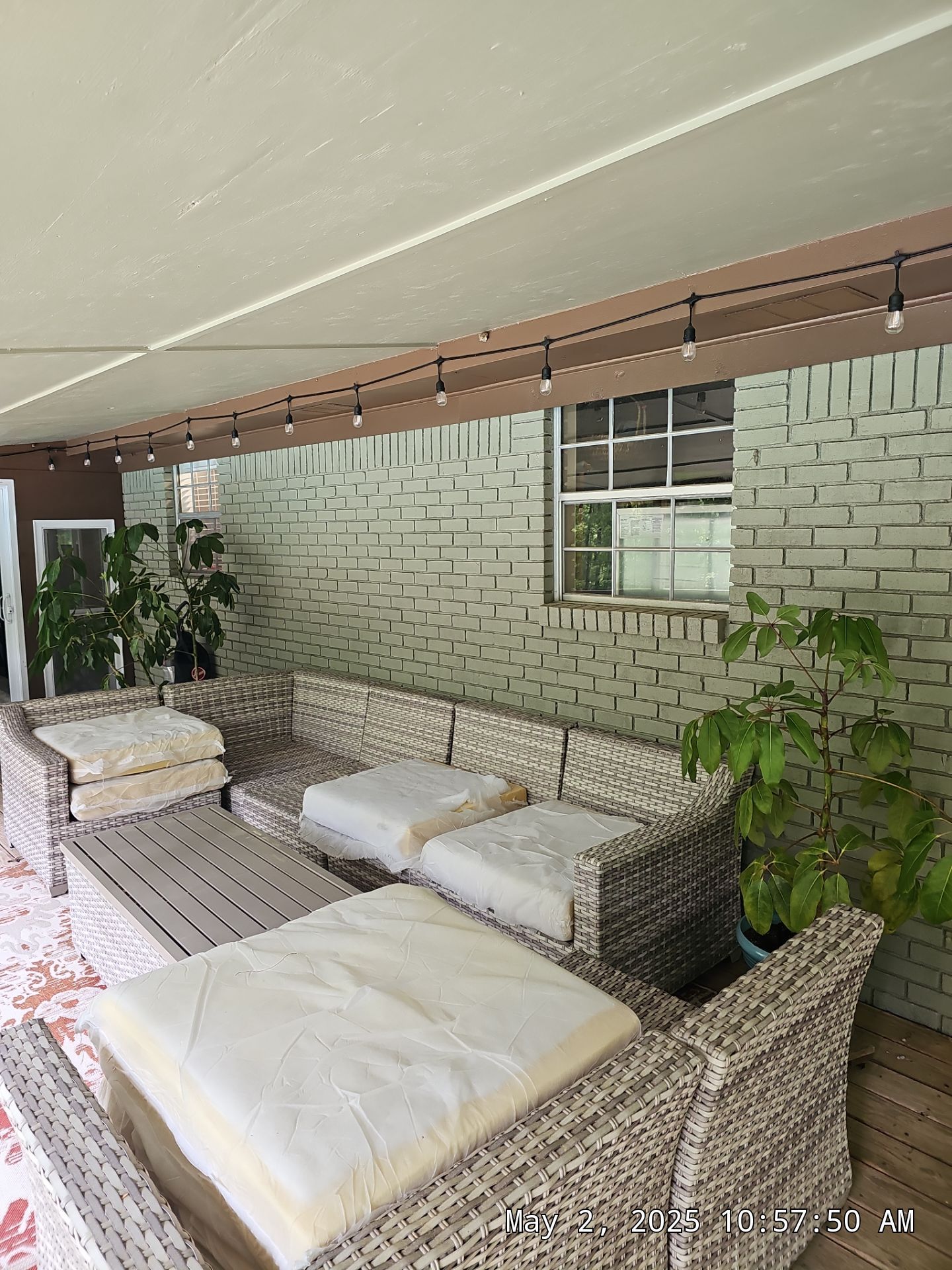 Reed Project in Chelsea by The Window Source