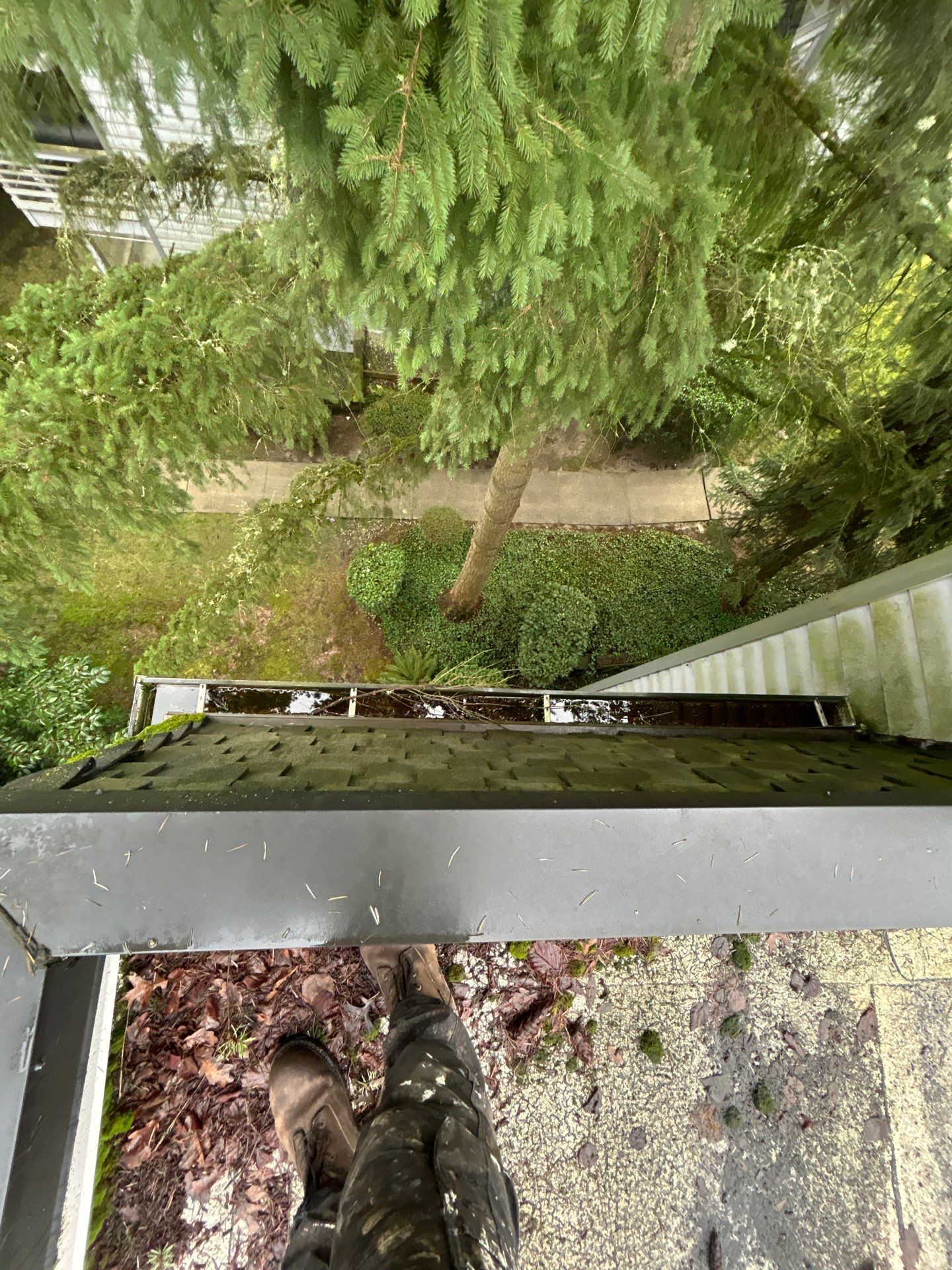Project in Kirkland by Peaks and Valleys Construction