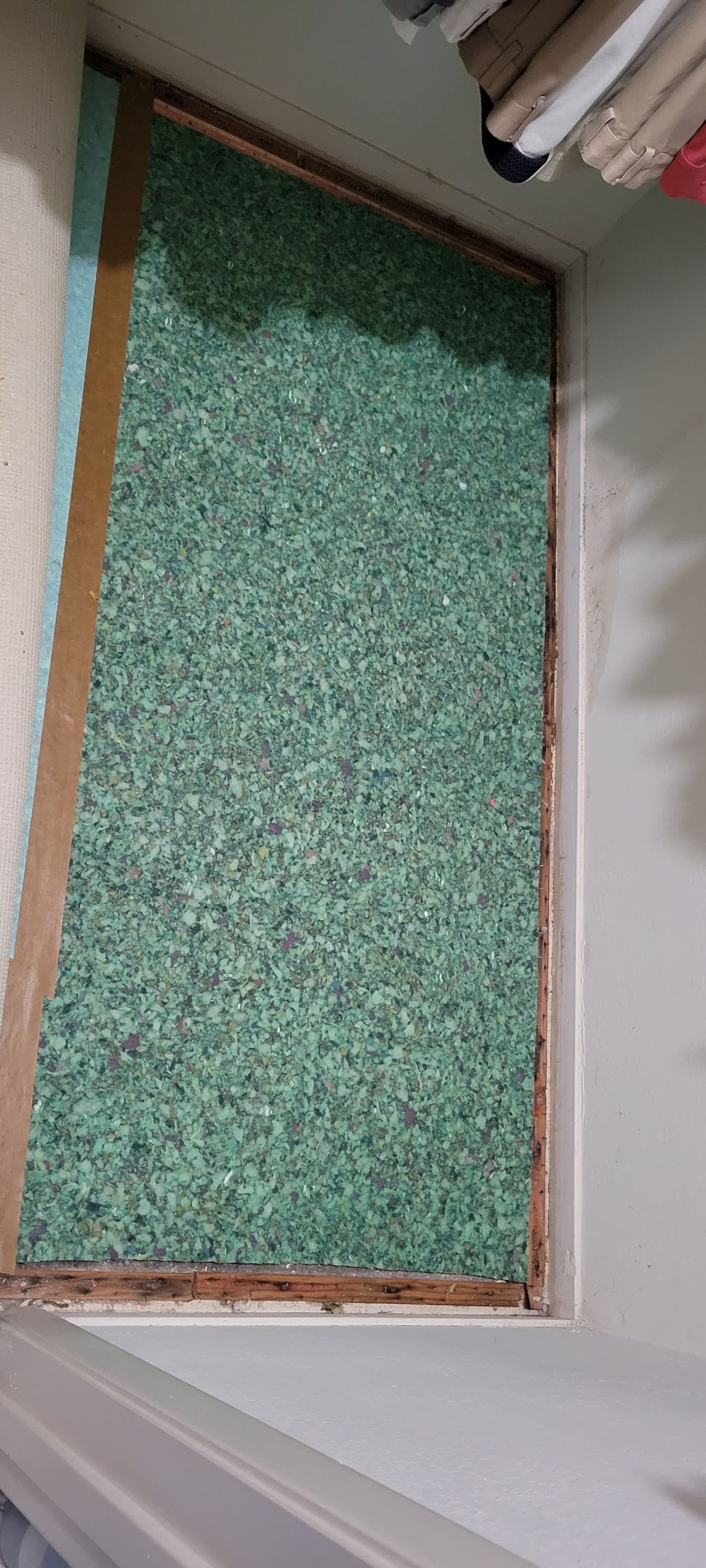 Carpet Restoration after Water Damage by Ardent Carpet Restore LLC