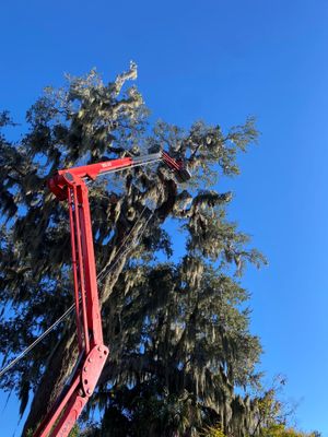 Residential | Tree Service
