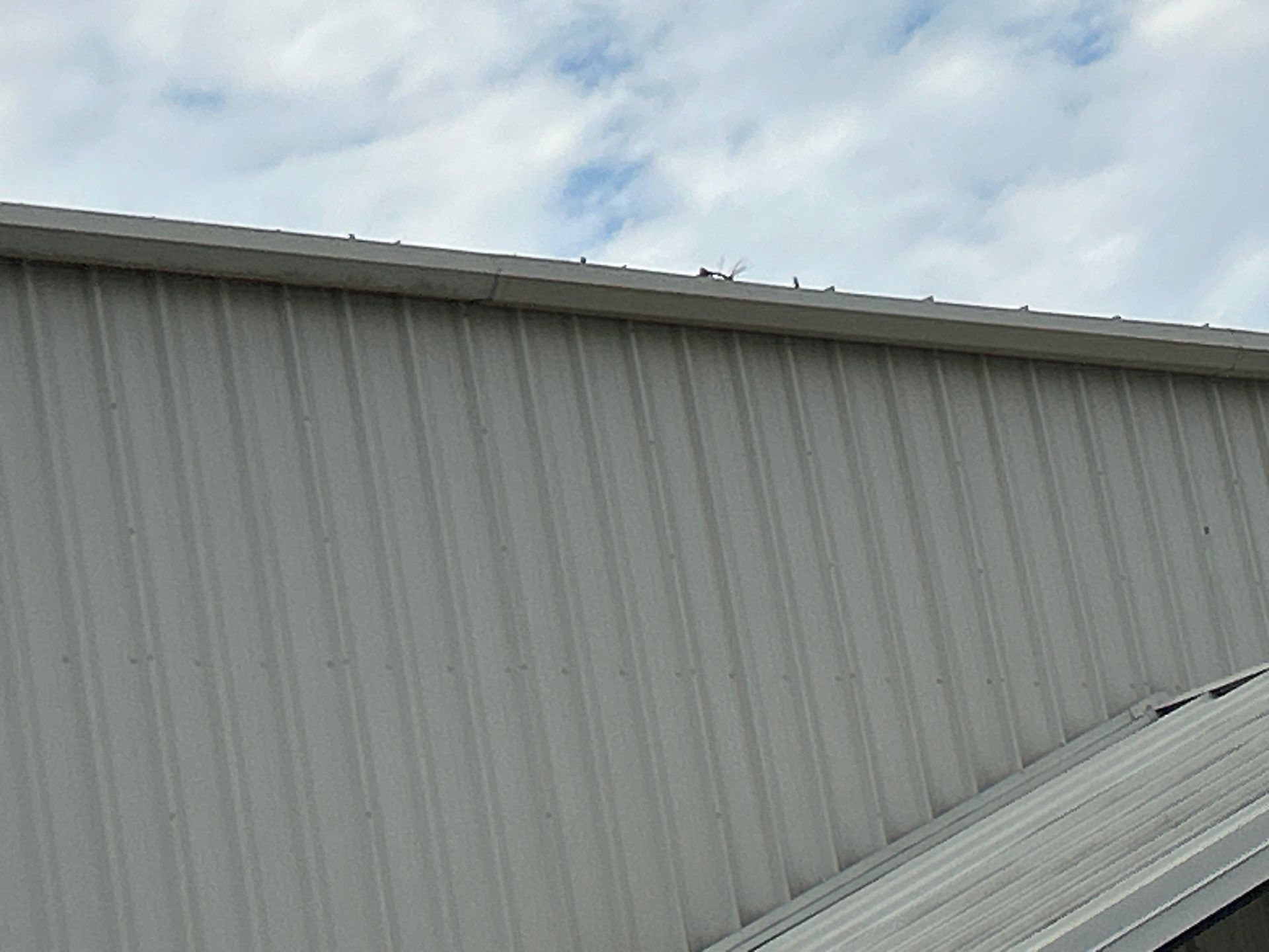 Gutter Cleaning Services in Fort Myers FL by Gutter Professors