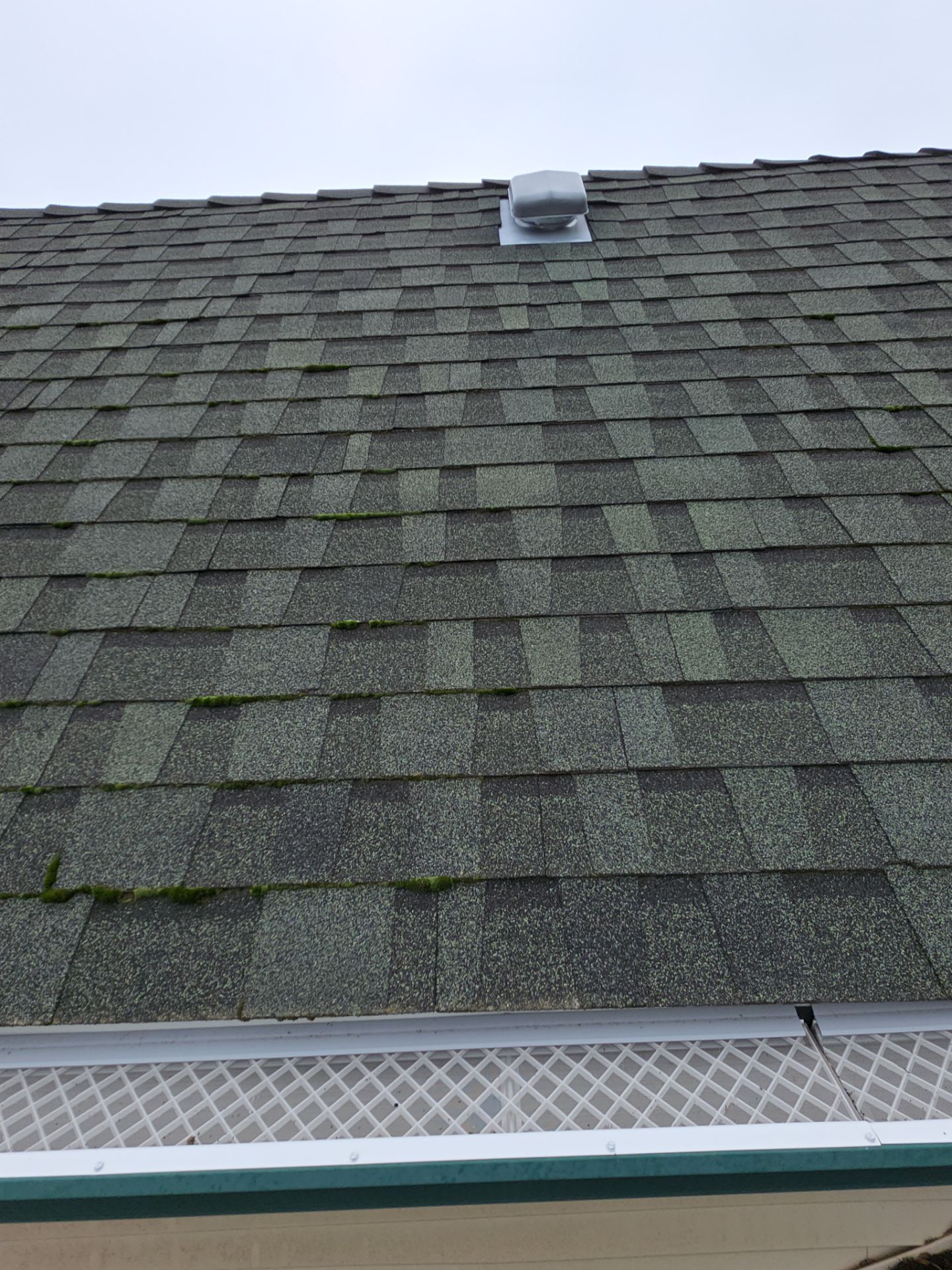 Roof Rejuvenation using Roof Maxx Treatment by Roof Maxx of Folsom