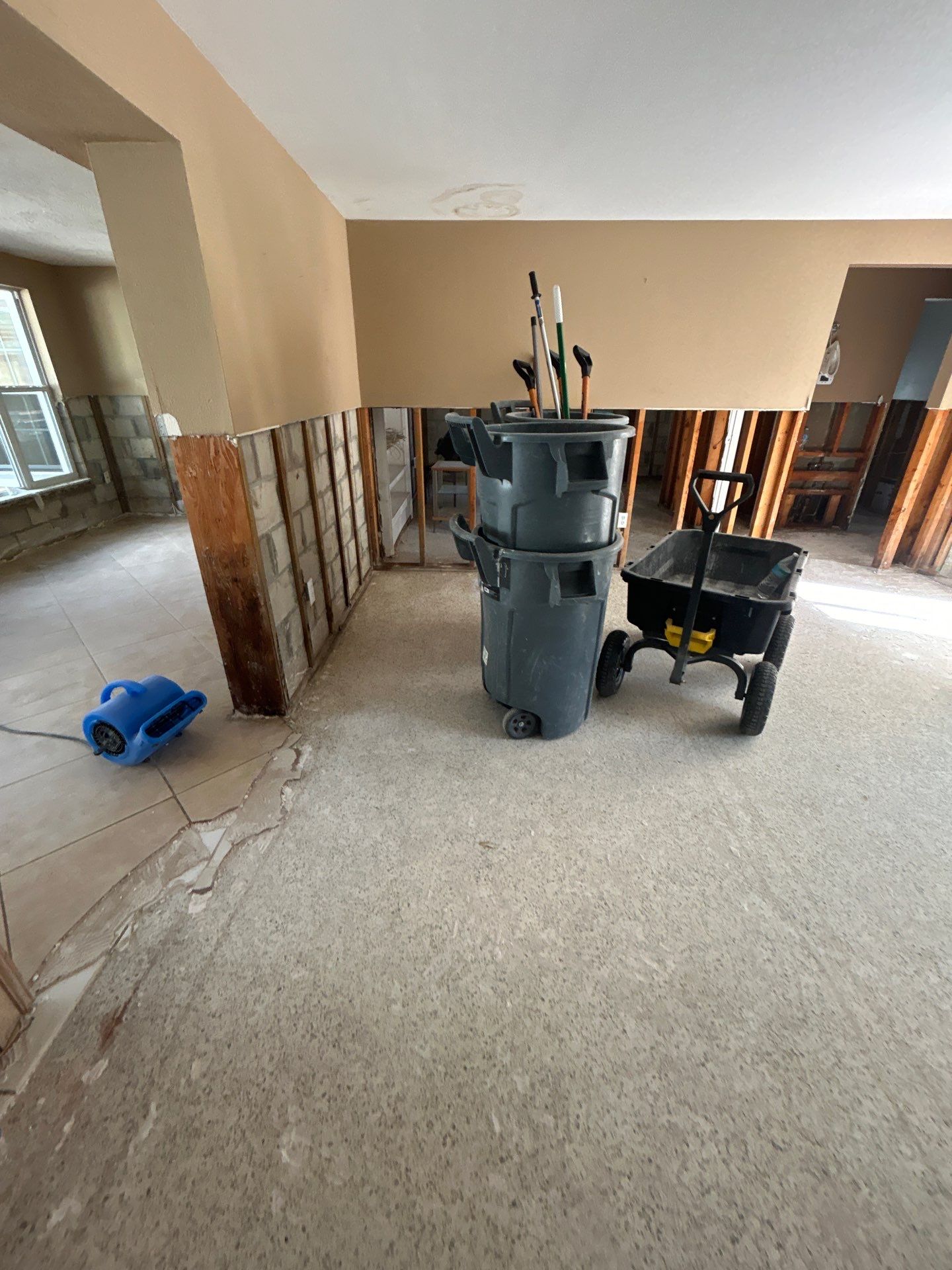 Mold Remediation + Reconstruction Bradenton by Ampm Restoration Services