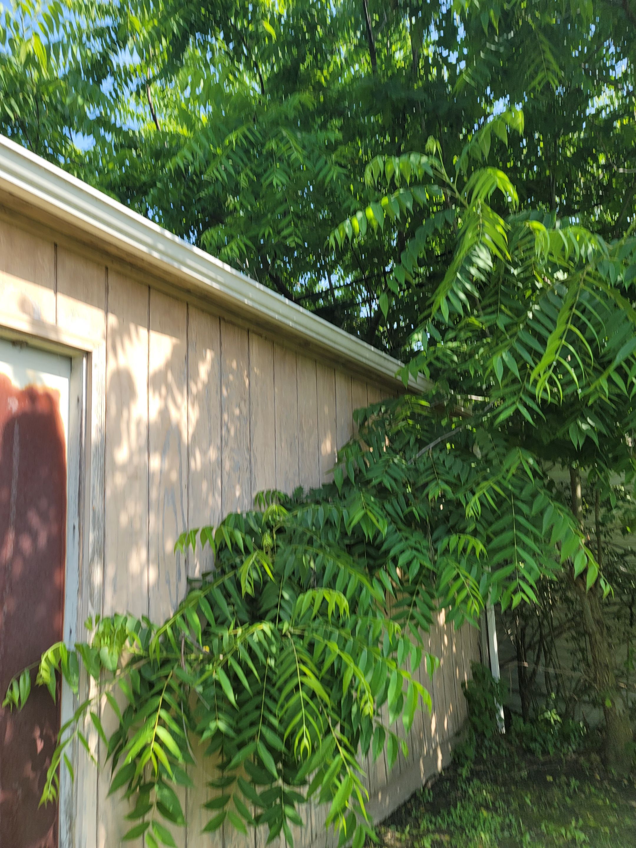 Polaris HomeView, Color: Classic Sand by Eagle Eye Roofing