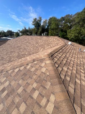 Shingle Reroof Replacement Deltona FL