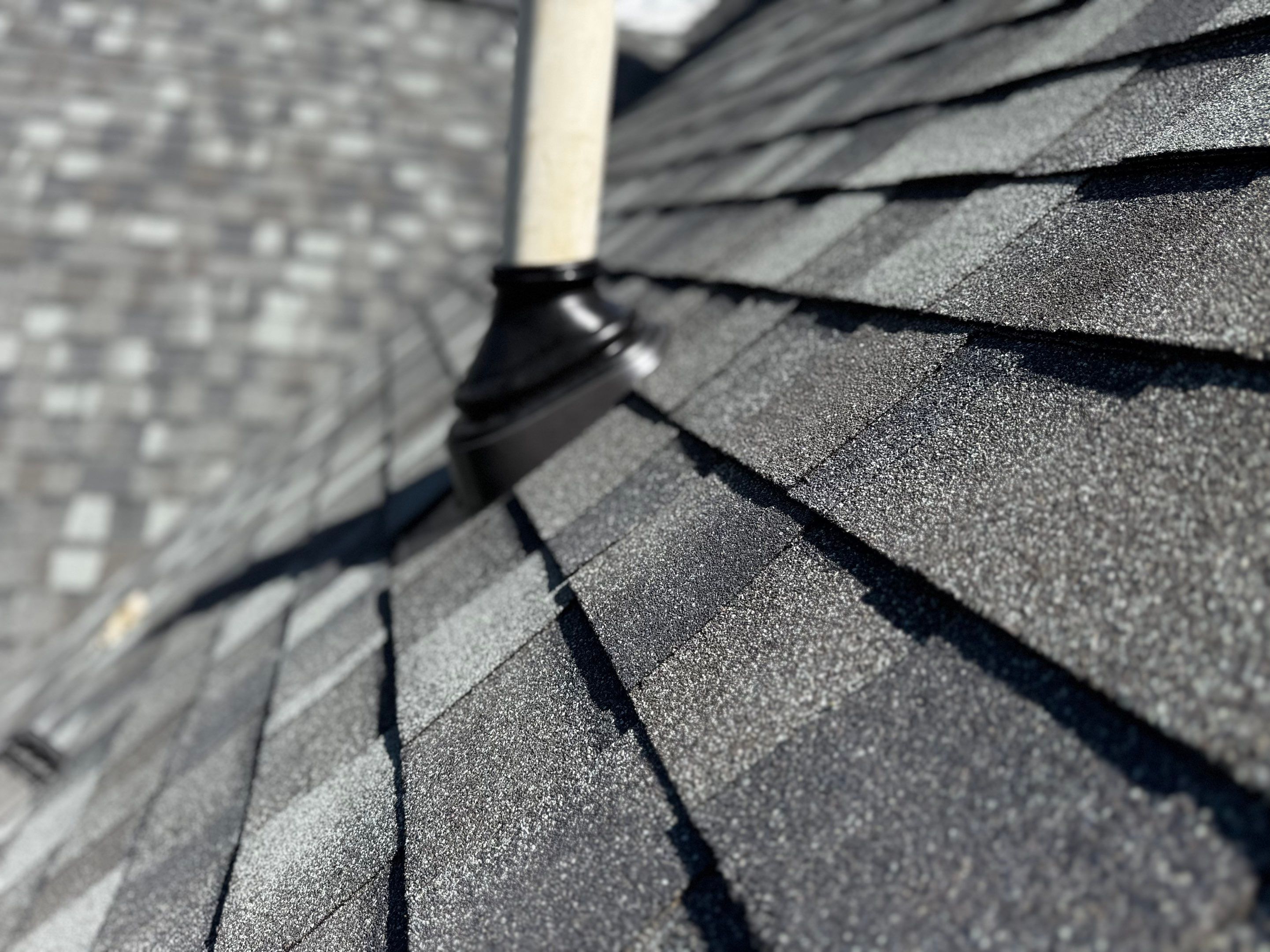 Tyee Roofing Replacement  by Tyee Construction Corp