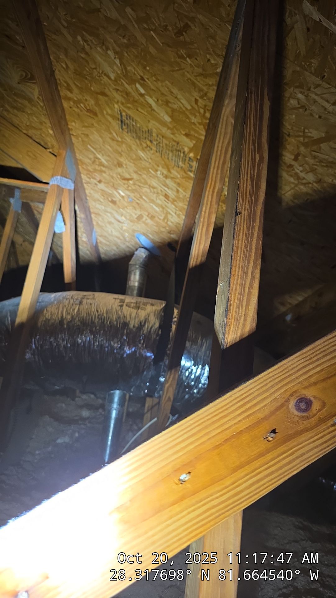 Dryer Vent Cleaning and Dryer Vent Repair in Davenport by Hygienic Air, Inc