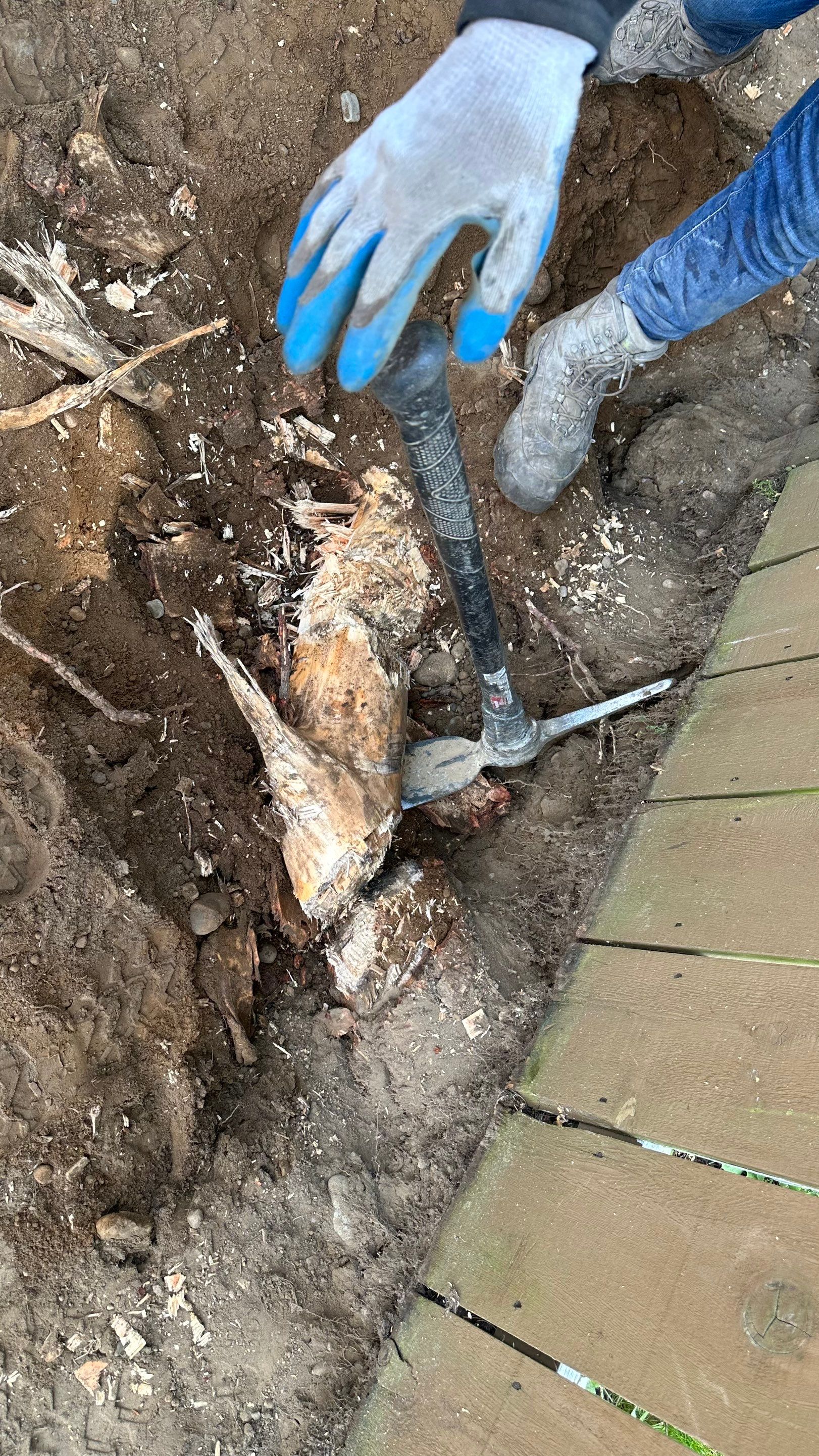  April | Driveway Repair, Concrete Project  by Jireh Asphalt & Concrete Inc 