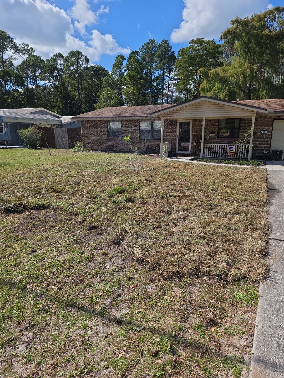 Tree Removal & Sod Install | Residential by ProGreen Services