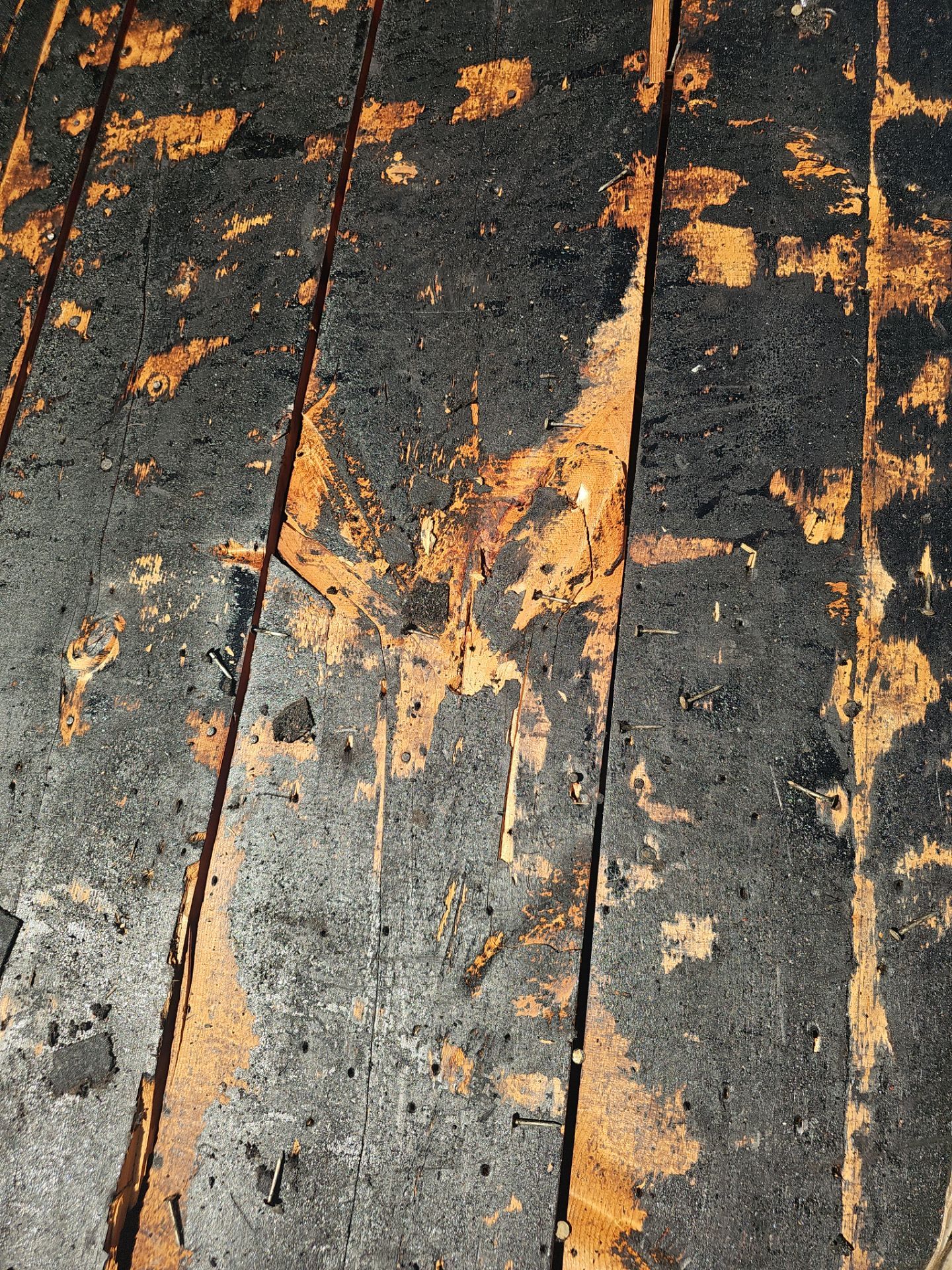 Project in St. Petersburg 33712 by Mitchell Roofing Company LLC