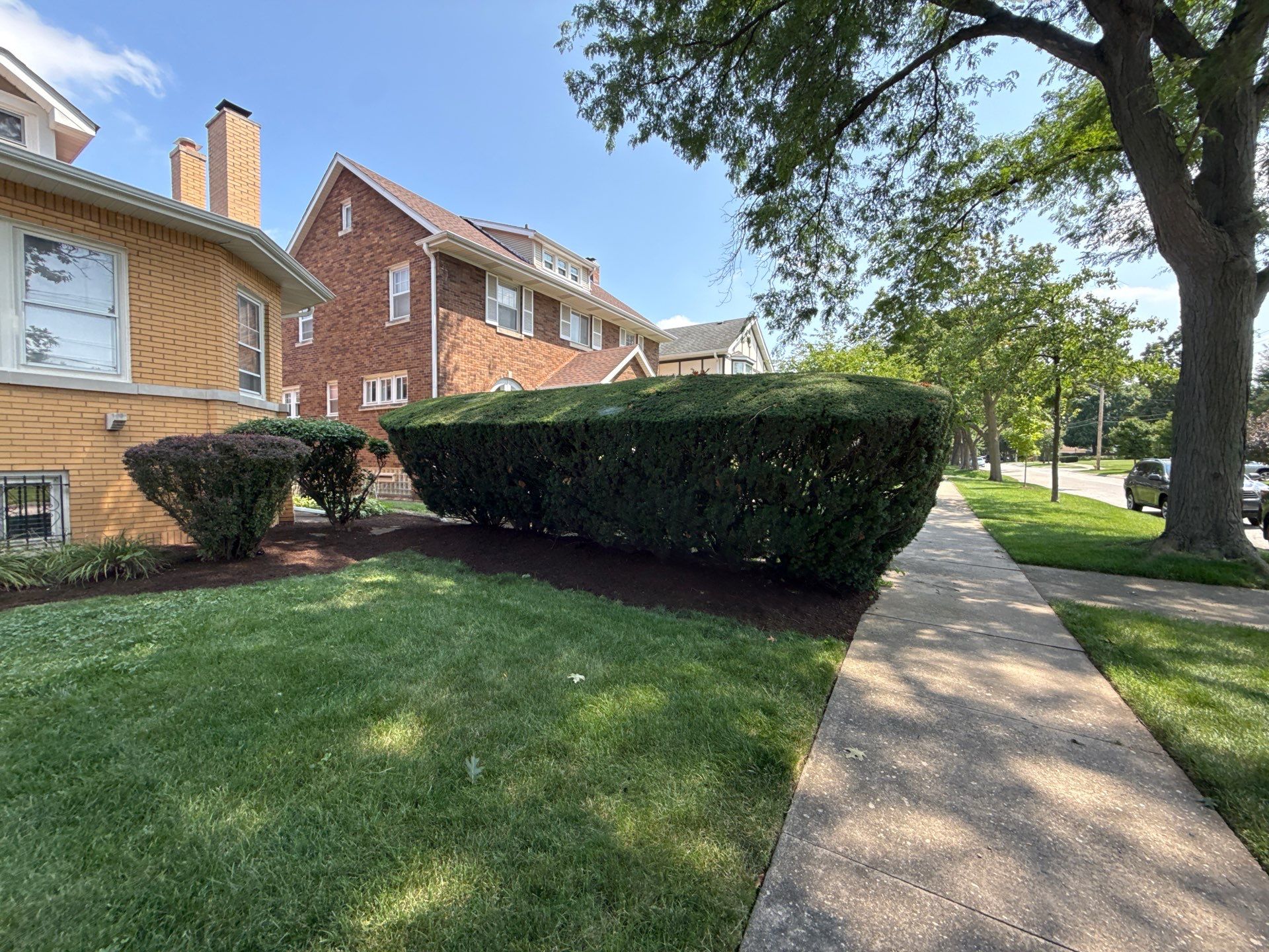 Nancy M. - Park Ridge, IL by A&N