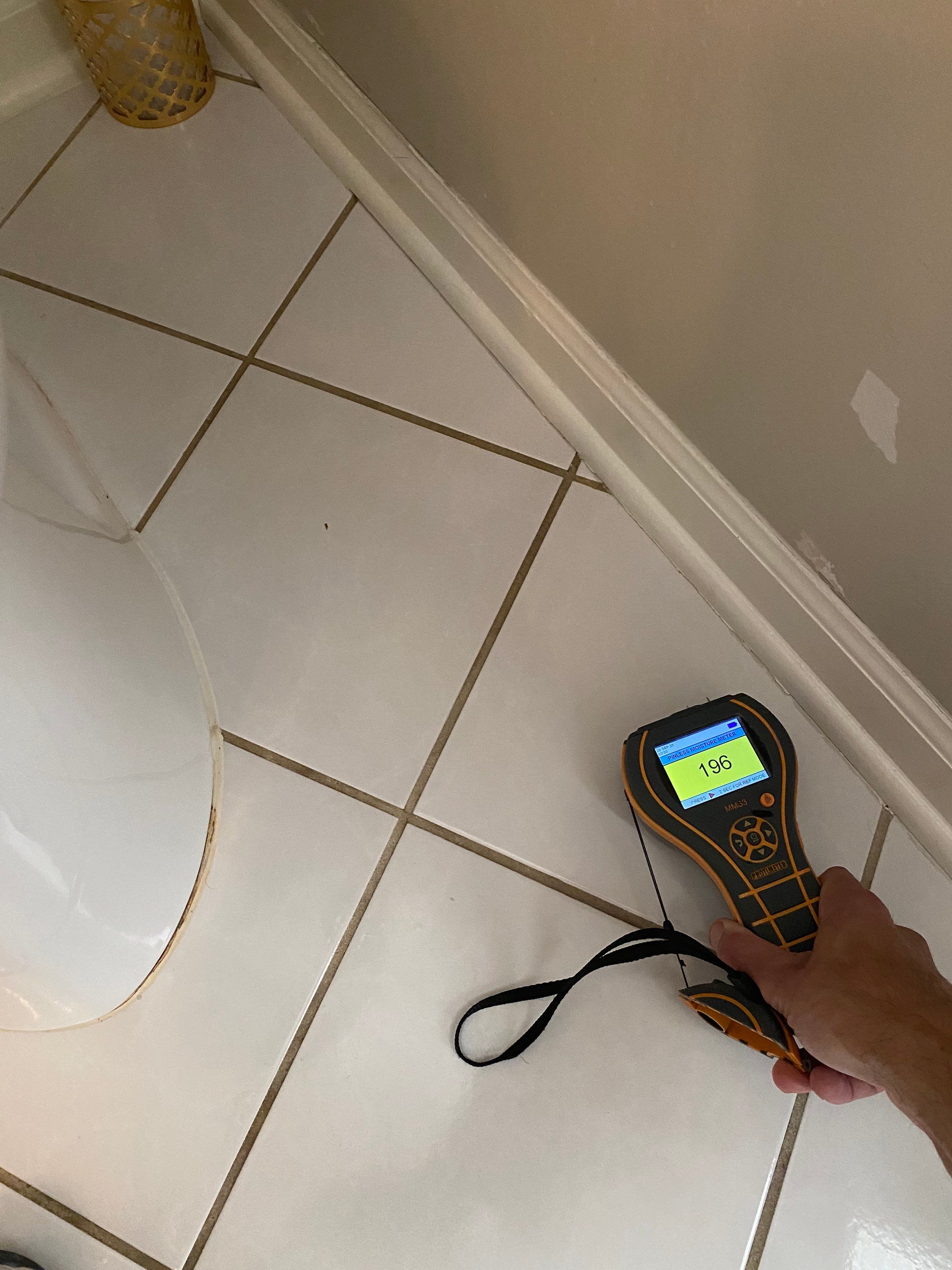 Project in Novi by EzDry Water Mitigation & Property Restoration