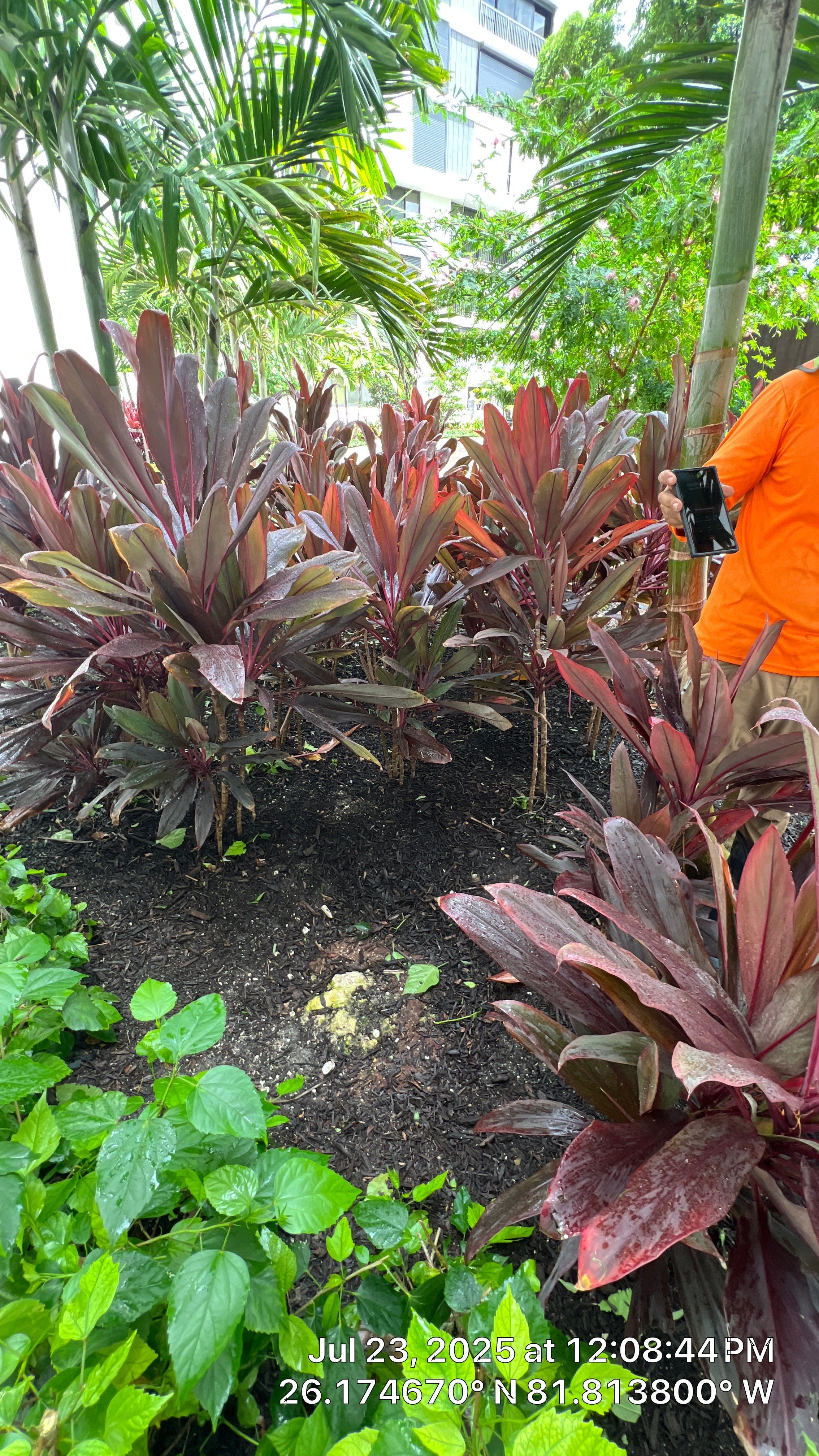 Naples Condo Complex Stormwater System Maintenance and Hurricane Cleanup by APS Power & Water