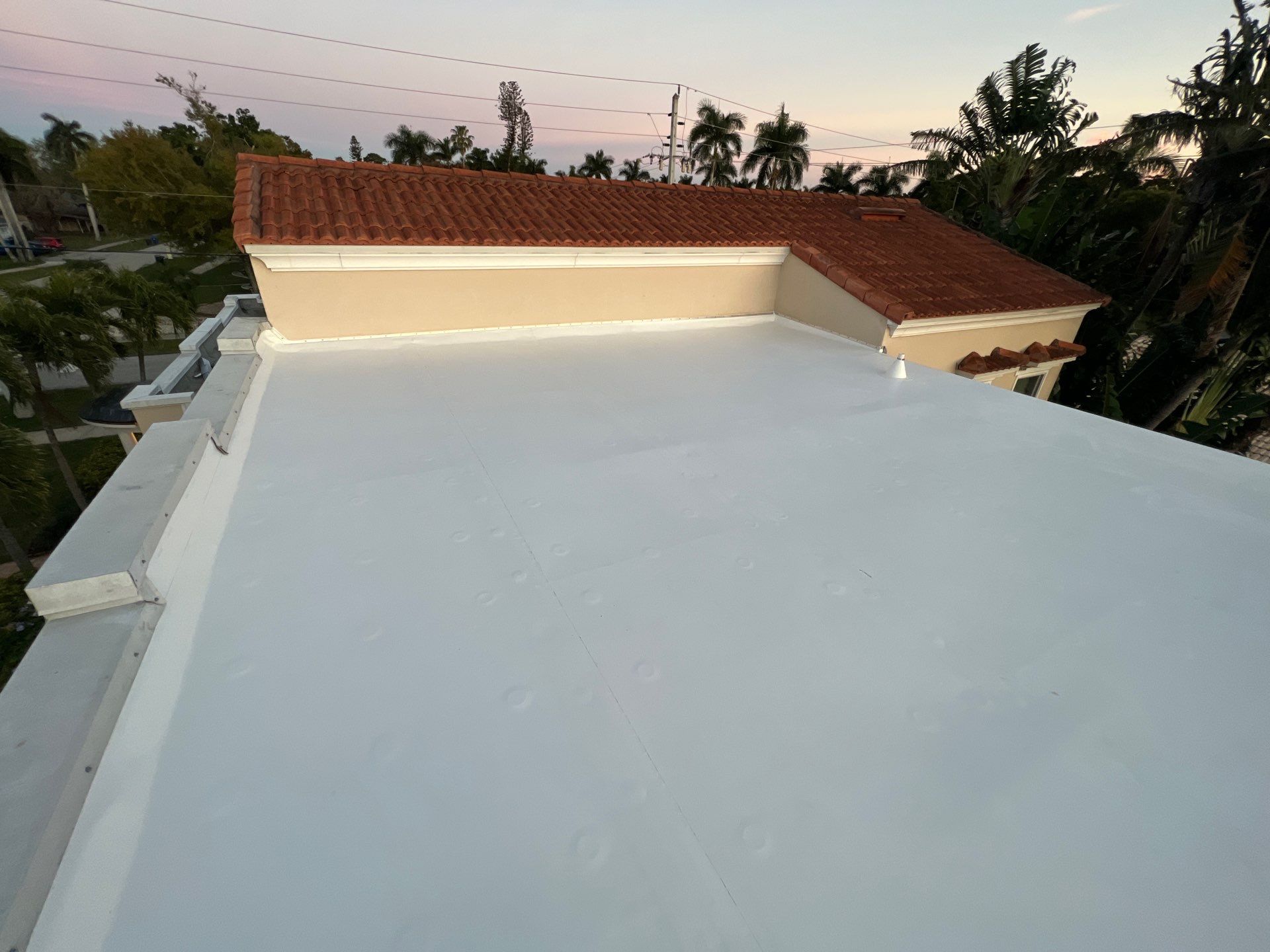 TPO on Flat Roof by Durabilis Roofing INC