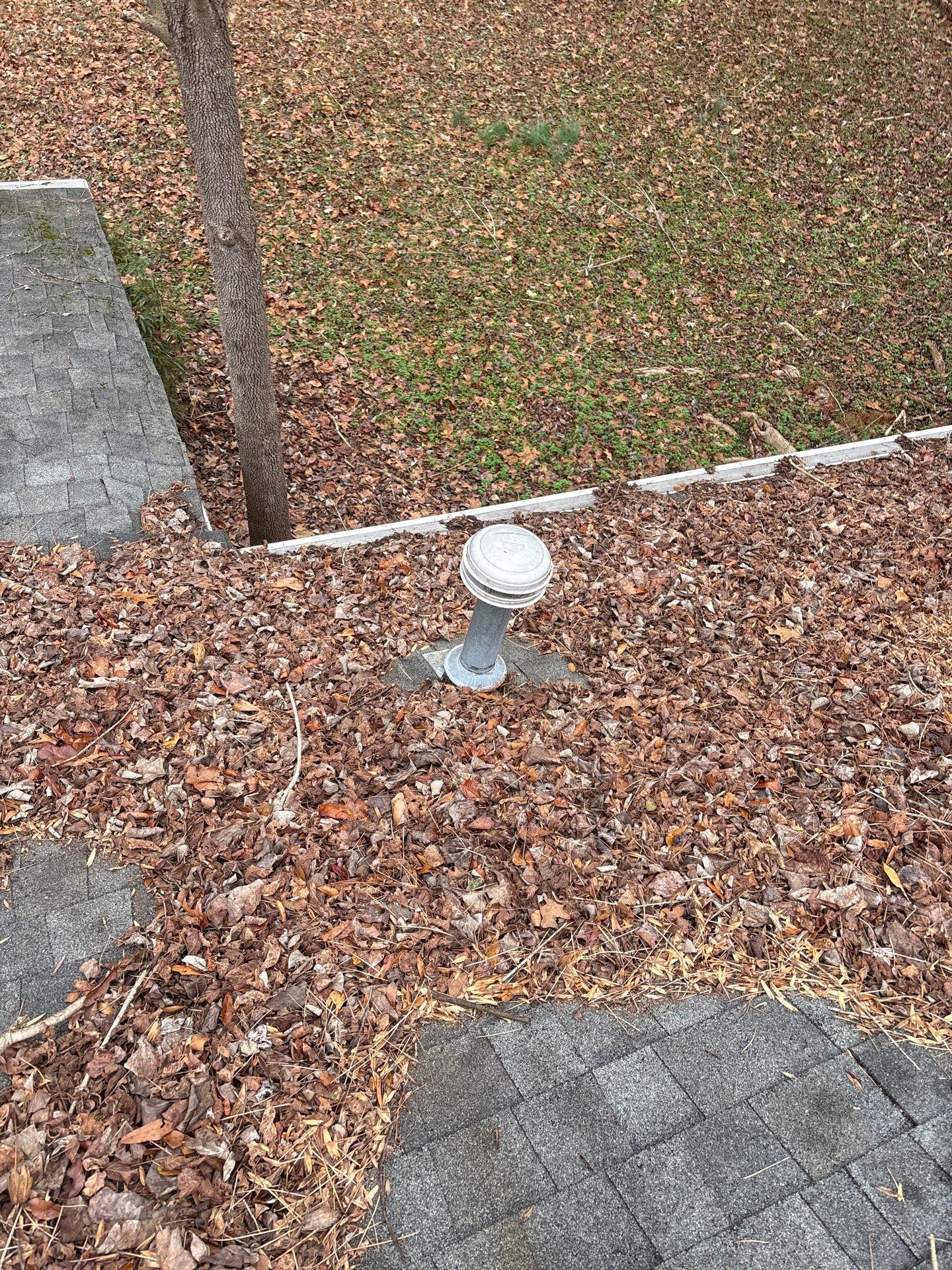 Clean Roof, Strong Home 🍂 by Georgia Roof Advisors