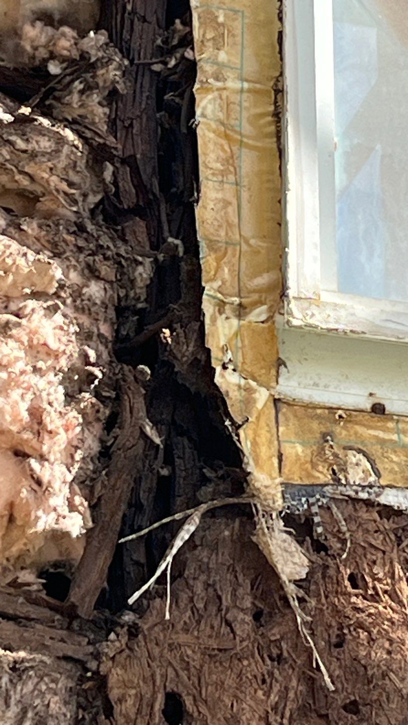 Poorly installed Windows WILL Destroy a home! by Bayfront Roofing and Construction