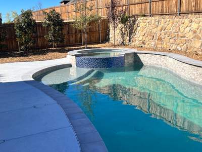 Freeform Pool with Raised Spa and Stone Coping