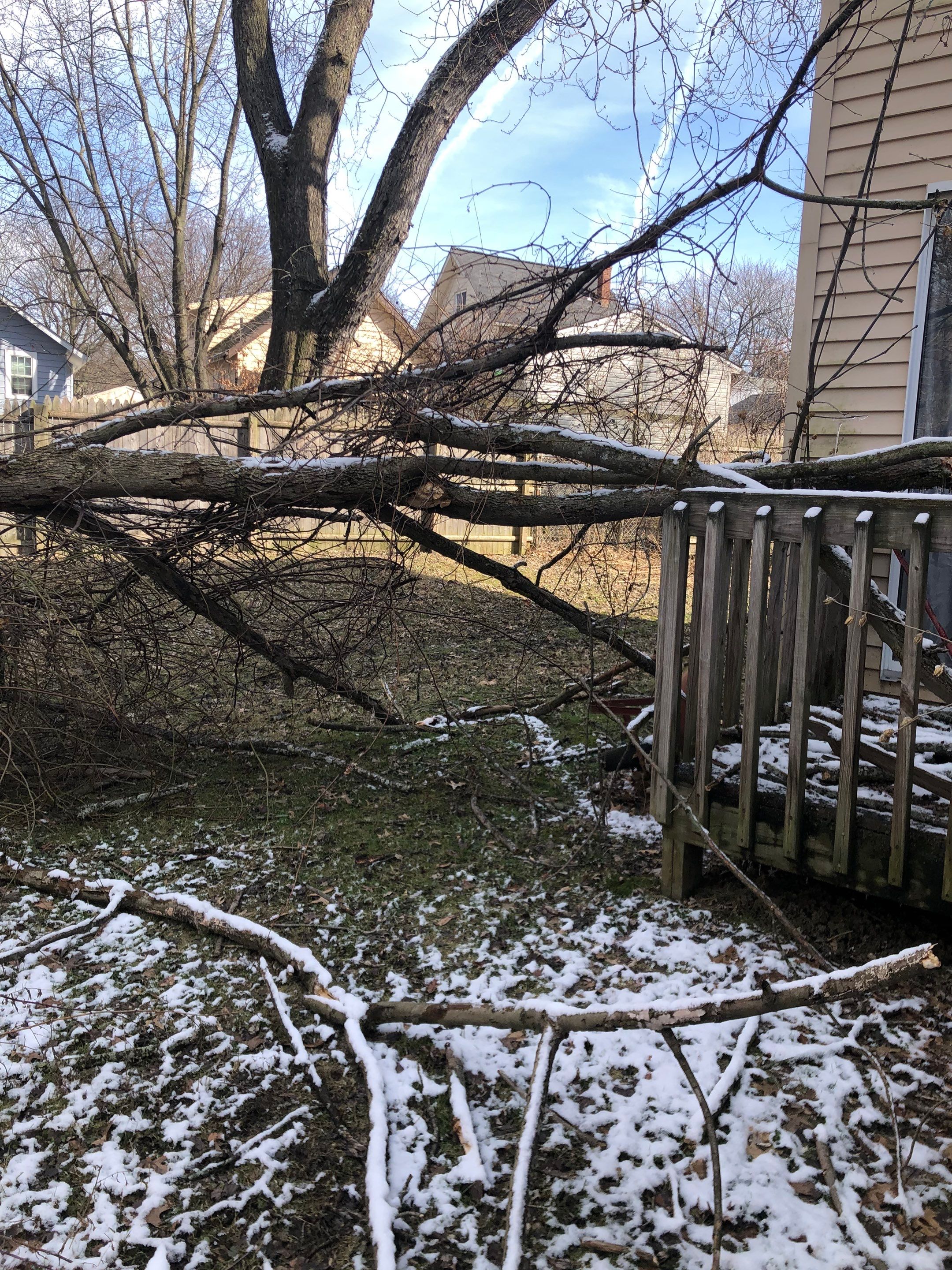 Tree Removal using Tree Removal by Mike Jones & Sons Tree Service LLC 