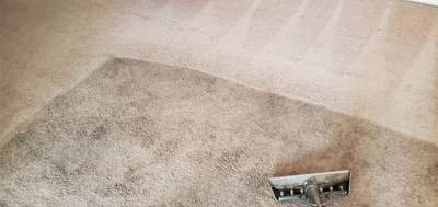 Carpet Cleaning of a Condo
