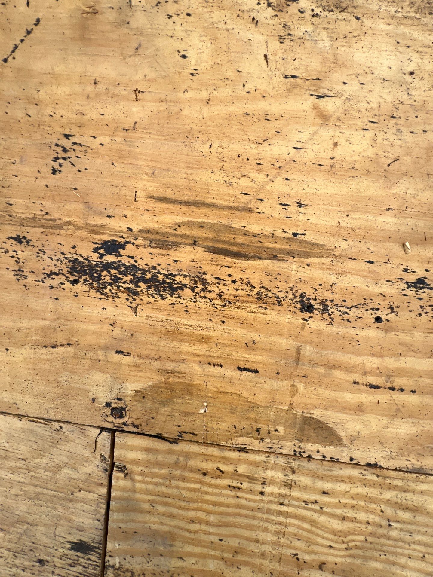 Roof Repair Spring by Roof Repair Services LLC