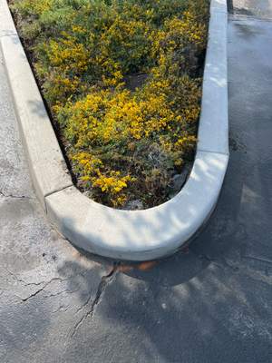 Amanda | Concrete Curb