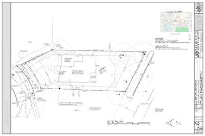Arborist Report for Tree Protection Fencing and Root Zone Planning in Bellevue