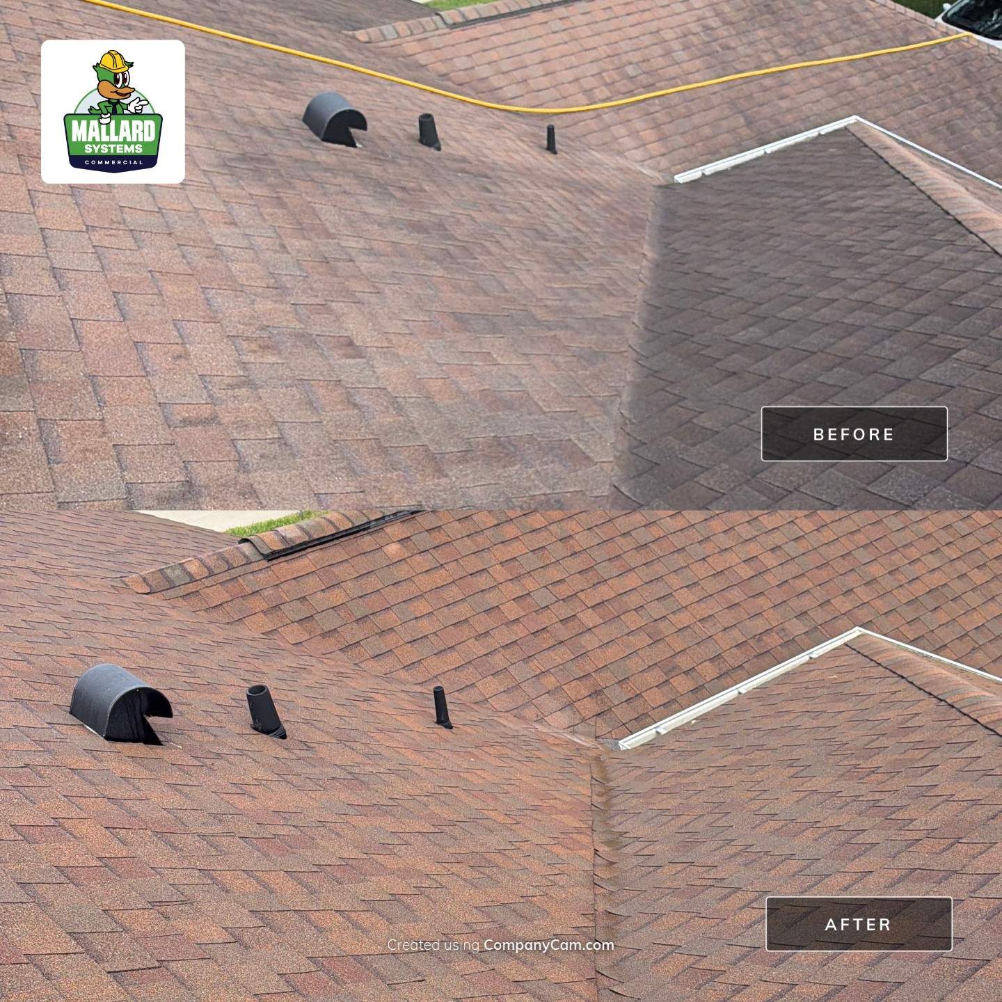 Shingle Roof Cleaning Service in Casselberry by Mallard Systems