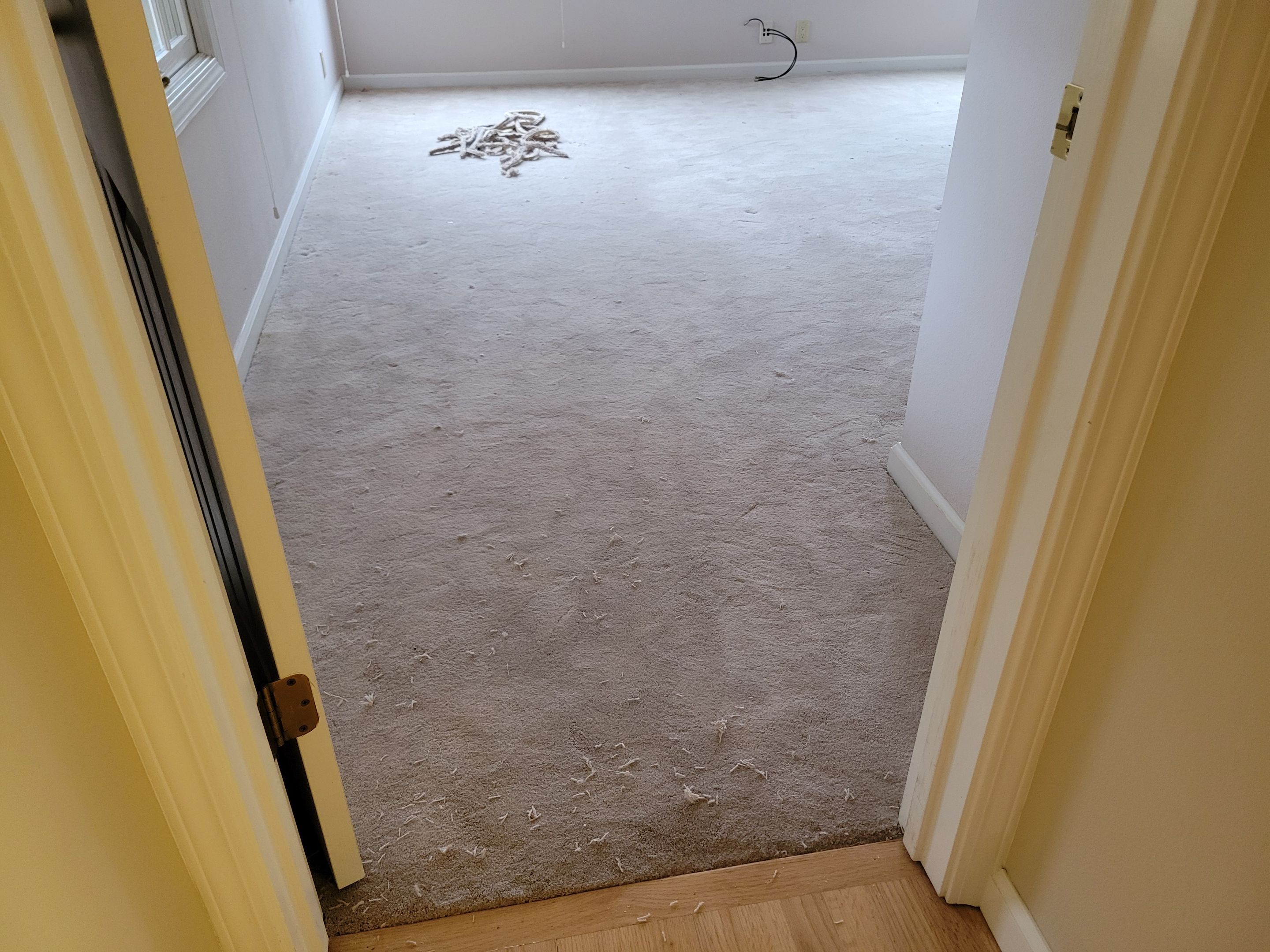 Carpet Re-stretch & Cleaning in Davis by Ardent Carpet Restore LLC
