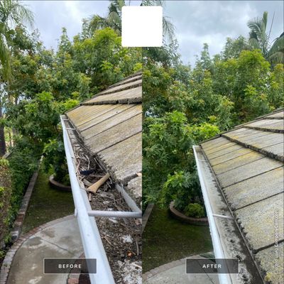 Gutter flush and window cleaning