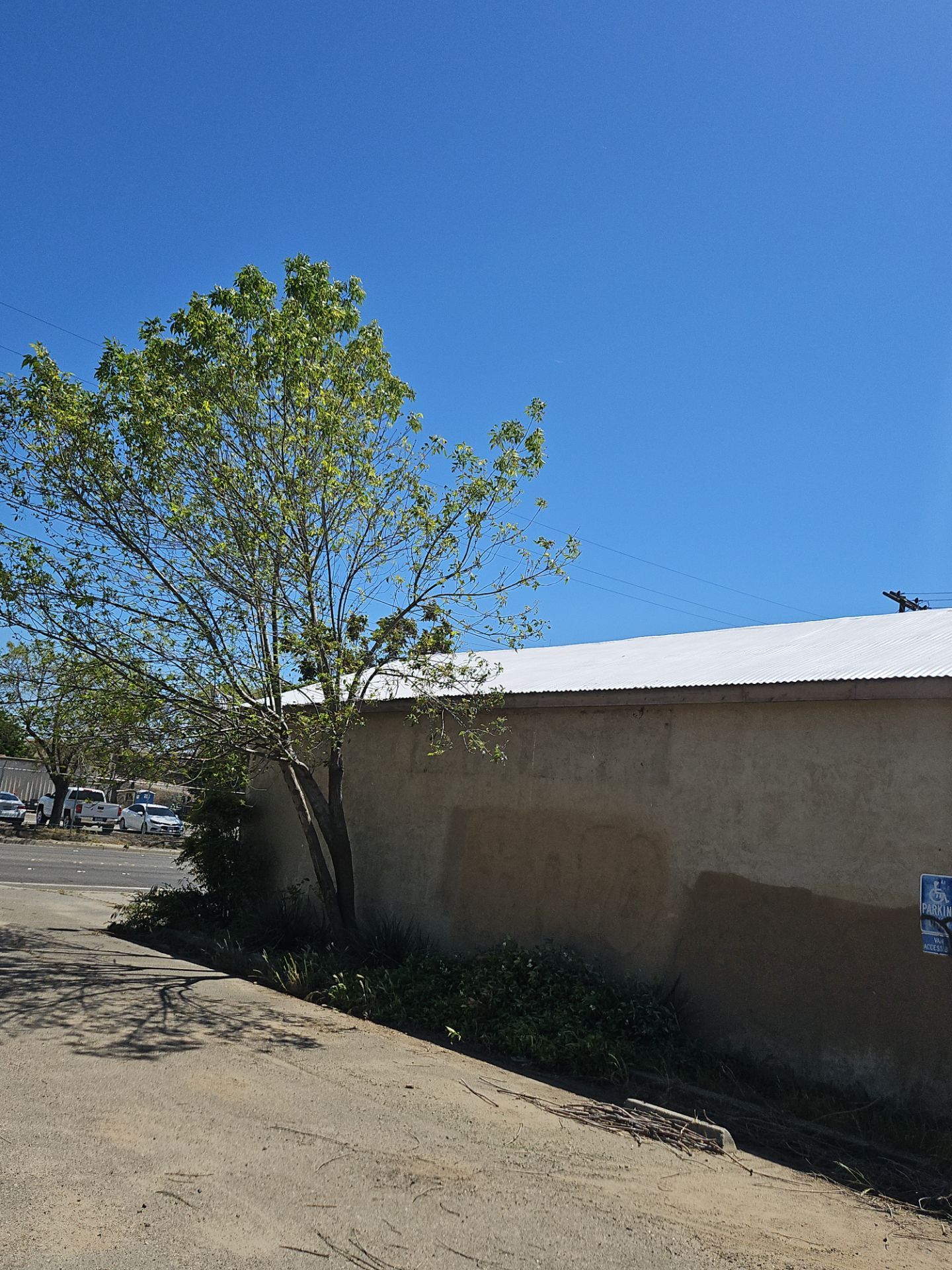 Spray foam and coatings using Conklin Benchmark/PUMA XL by Straight Edge Roofing Inc