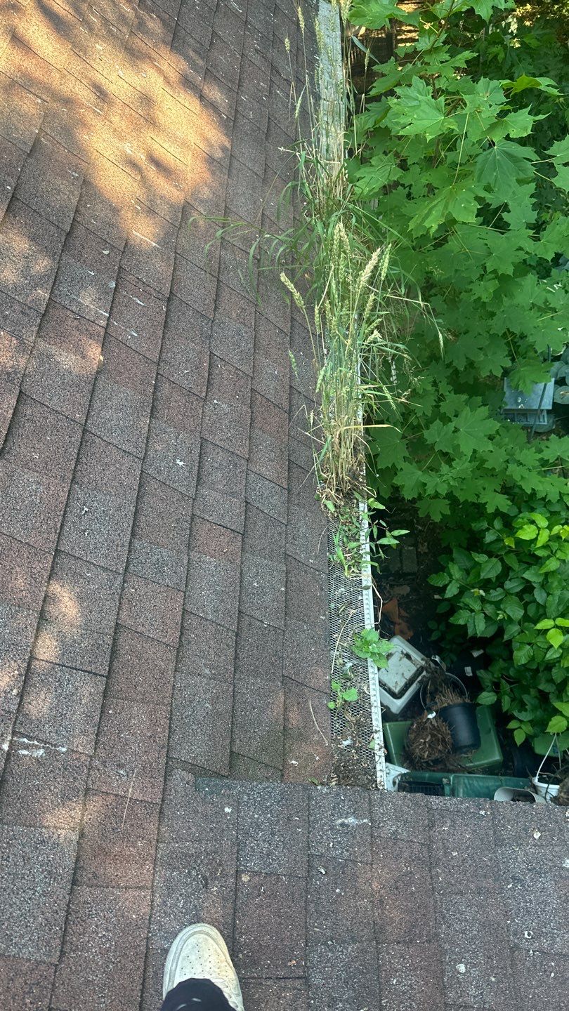 Very overdue gutter cleaning and screening by Above All Gutters 