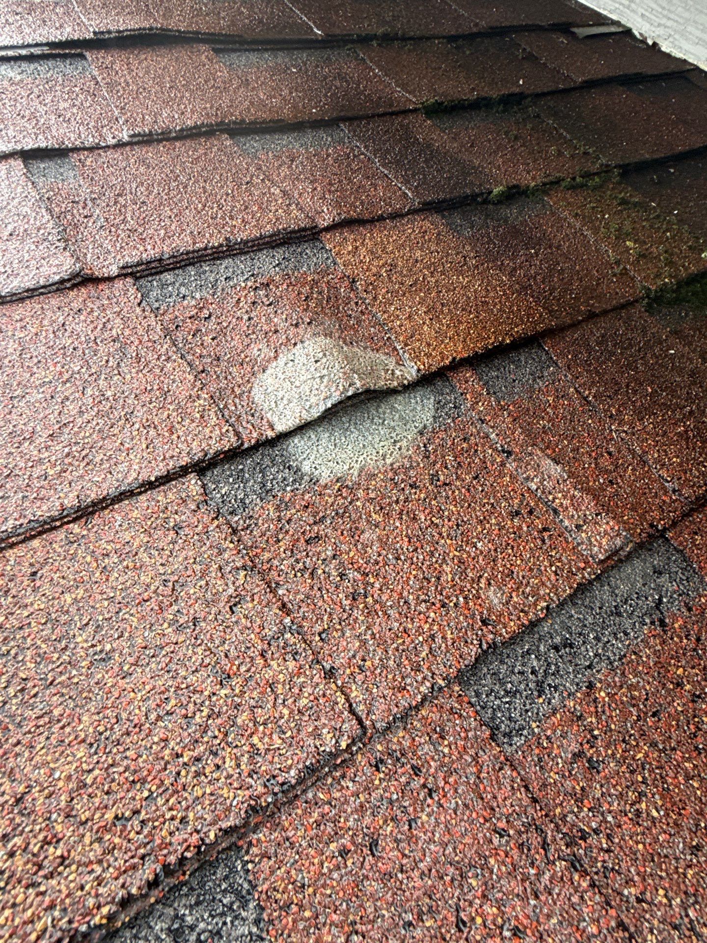 Asphalt Roof Replacement in Madison by NANOROOF Alabama