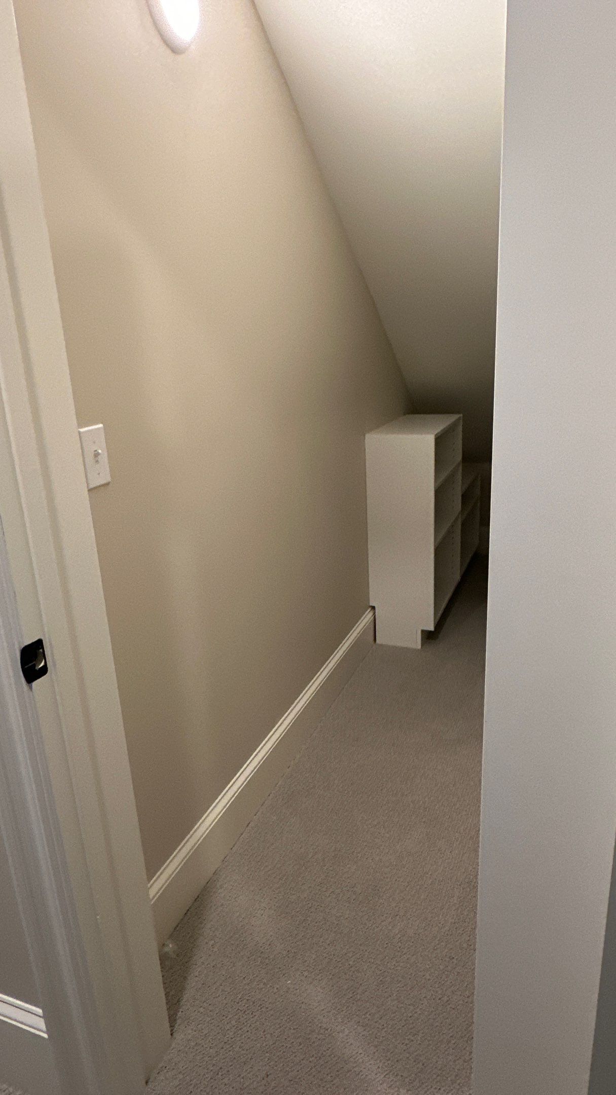 Steven S. not only transformed his garage but also his closet by Banner Garage